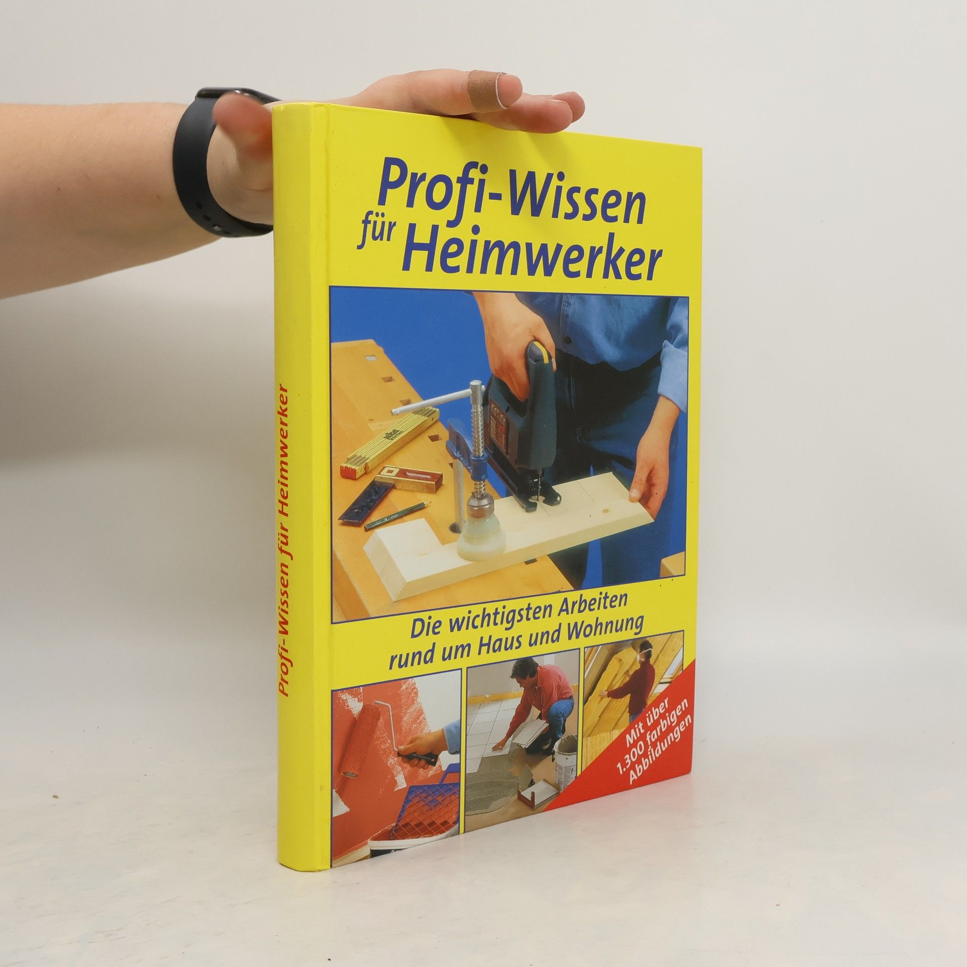 kolektiv Profi-Wissen für Heimwerker