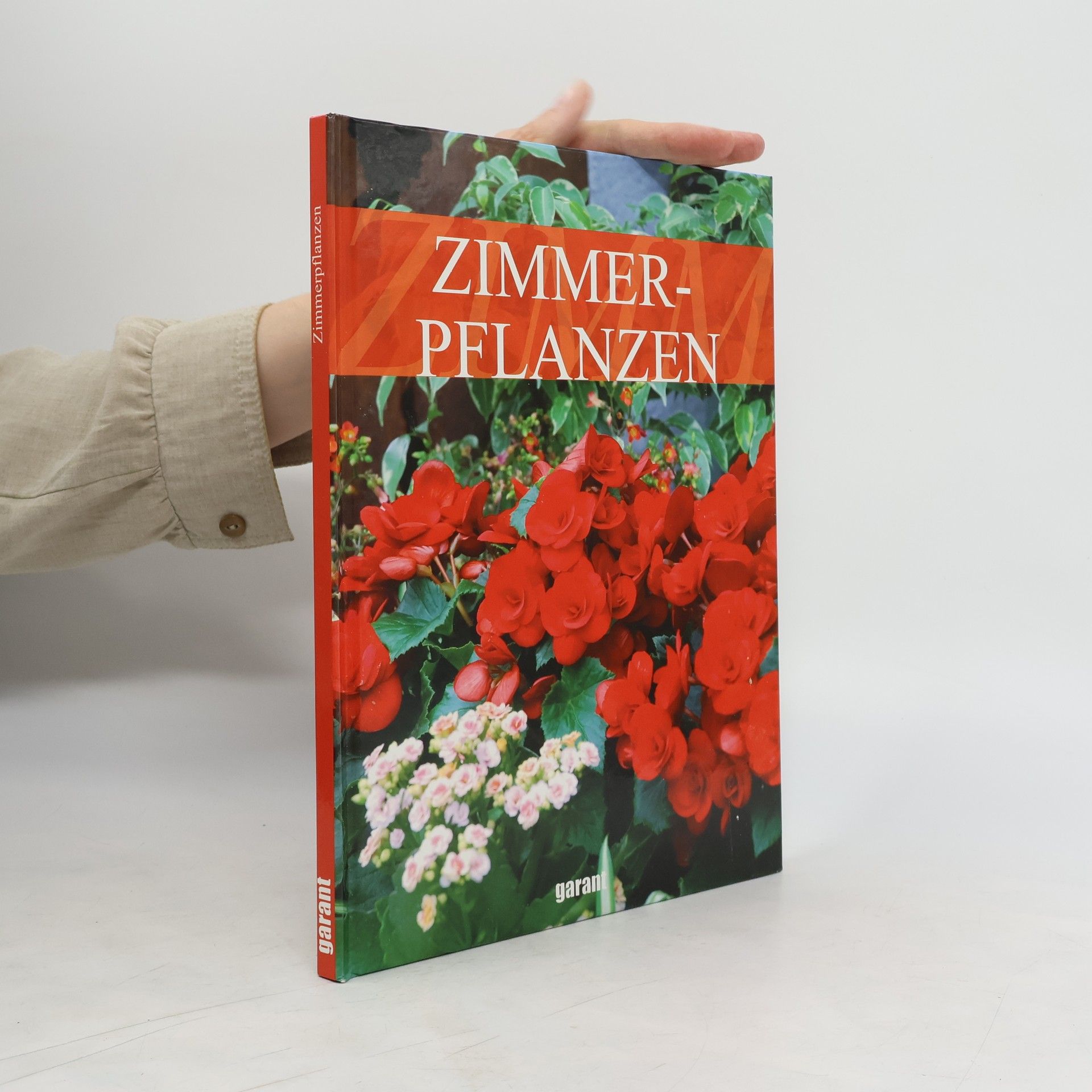 Autorenkollektiv Zimmerpflanzen
