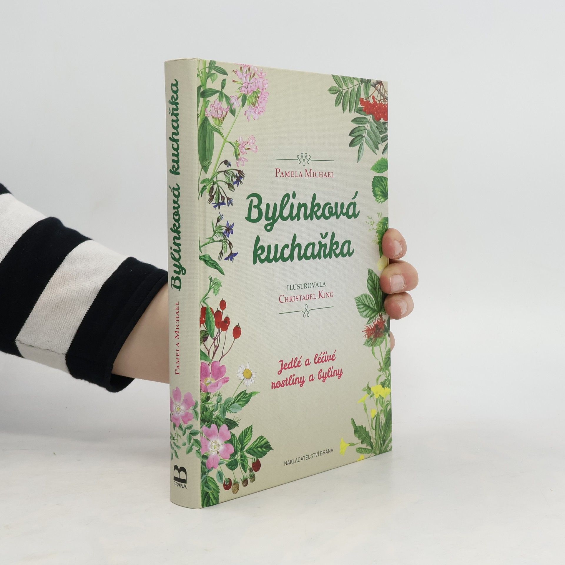 Pamela Michael Bylinková kuchařka - Jedlé a léčivé rostliny a byliny
