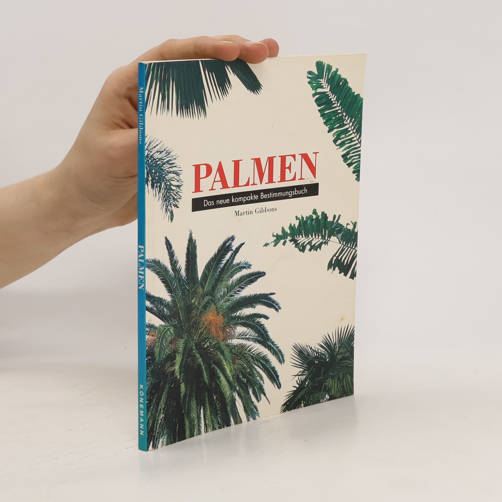 Martin Gibbons Palmen