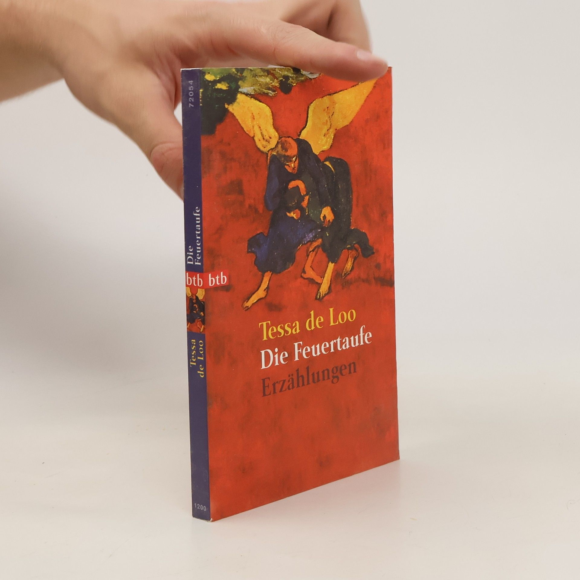 Tessa de Loo Die Feuertaufe. Erzählungen.