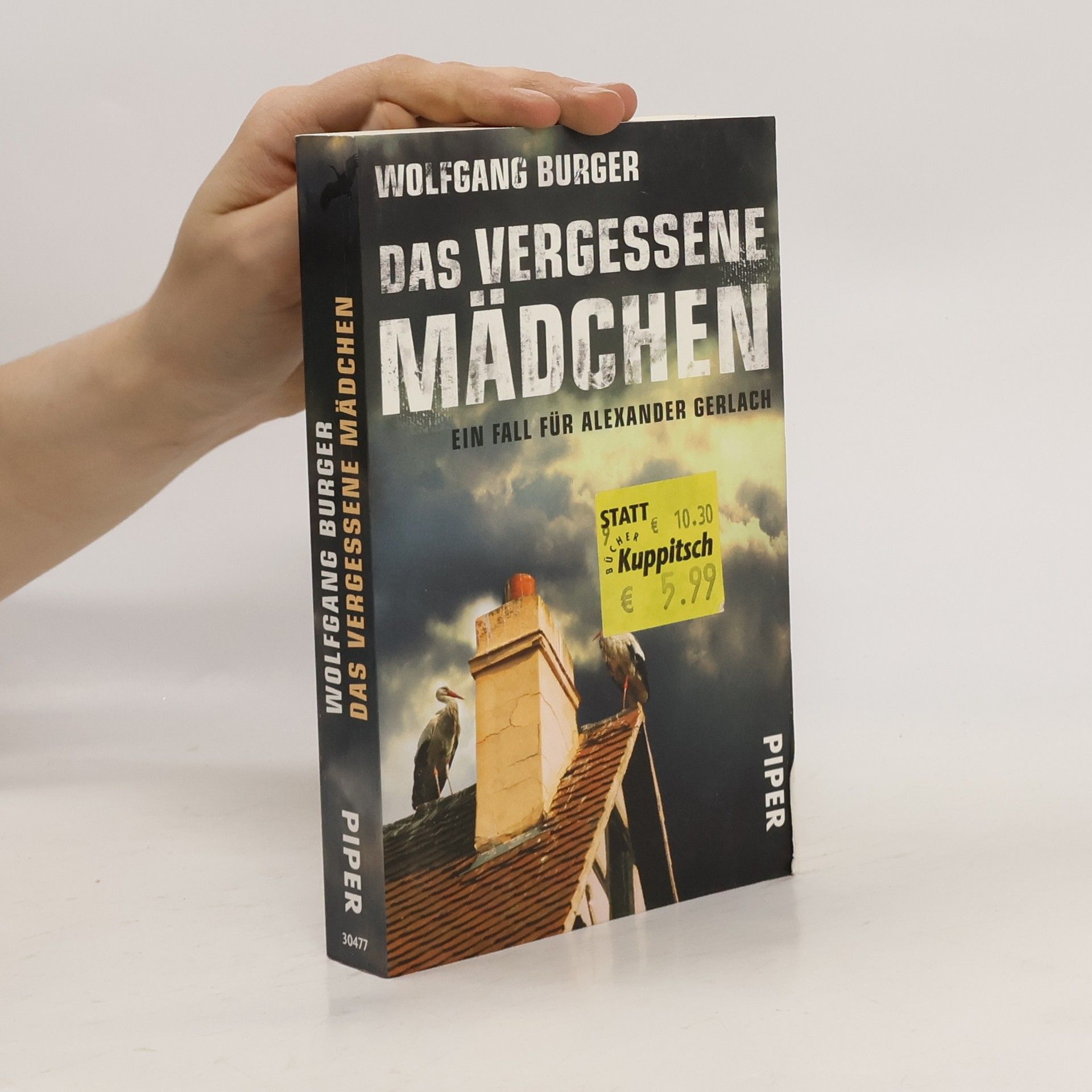 Wolfgang Burger Das vergessene Mädchen