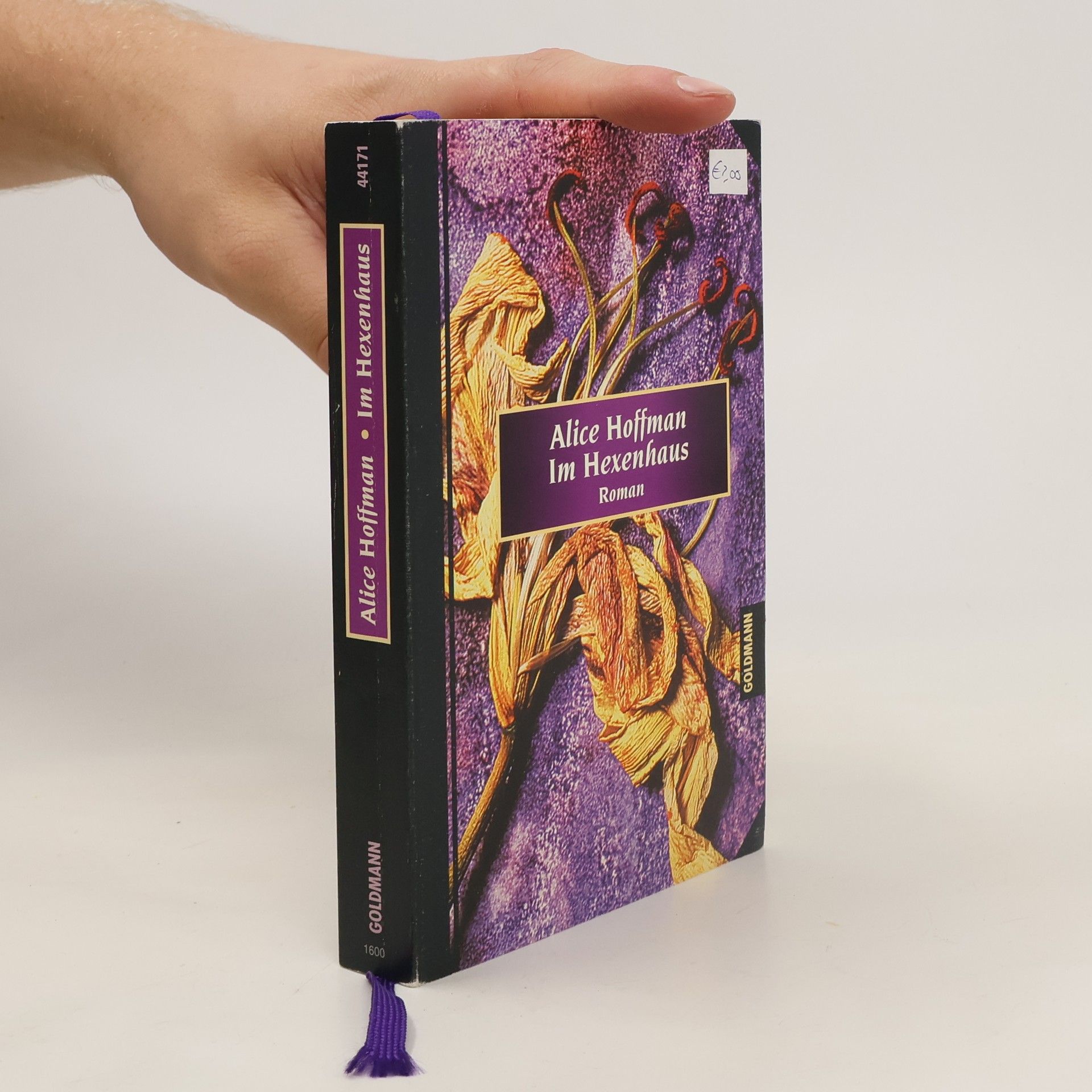 Alice Hoffmann Im Hexenhaus, Geschenkausgabe. Roman. Buch z. Film 'Zauberhafte Schwestern'. Dt. v. Elke vom Scheidt