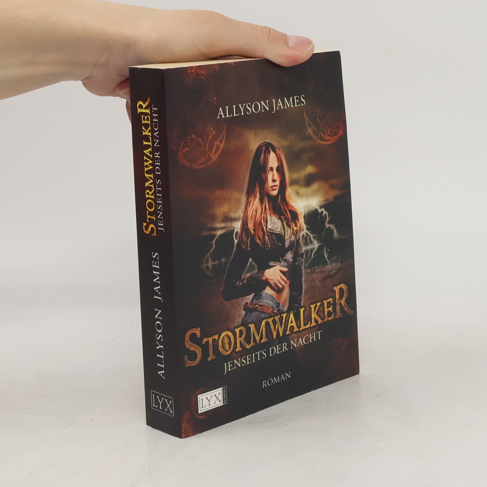 Allyson James Stormwalker. Jenseits der Nacht