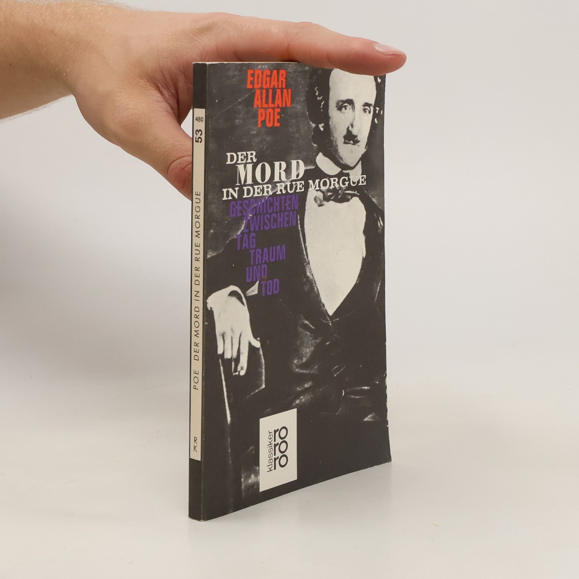 Edgar Allan Poe Der Mord in der Rue Morgue. Geschichten zwischen Tag, Traum u. Tod. Mit e. Essay 'Zum Verständnis d. Werkes' v. Johannes Kleinstück