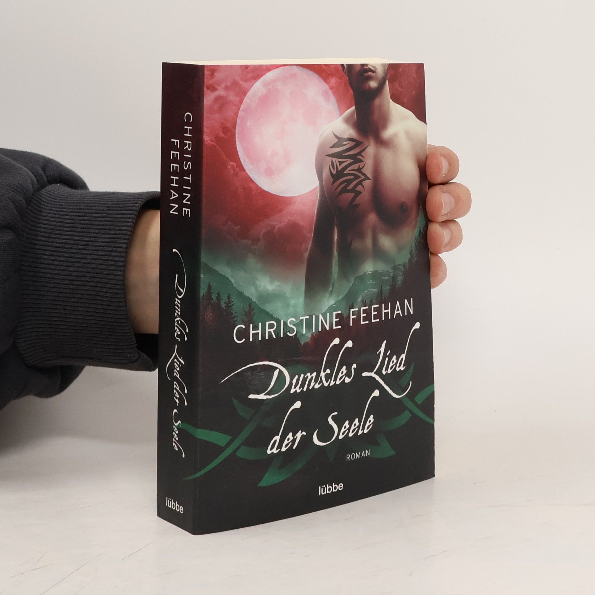 Christine Feehan Dunkles Lied der Seele