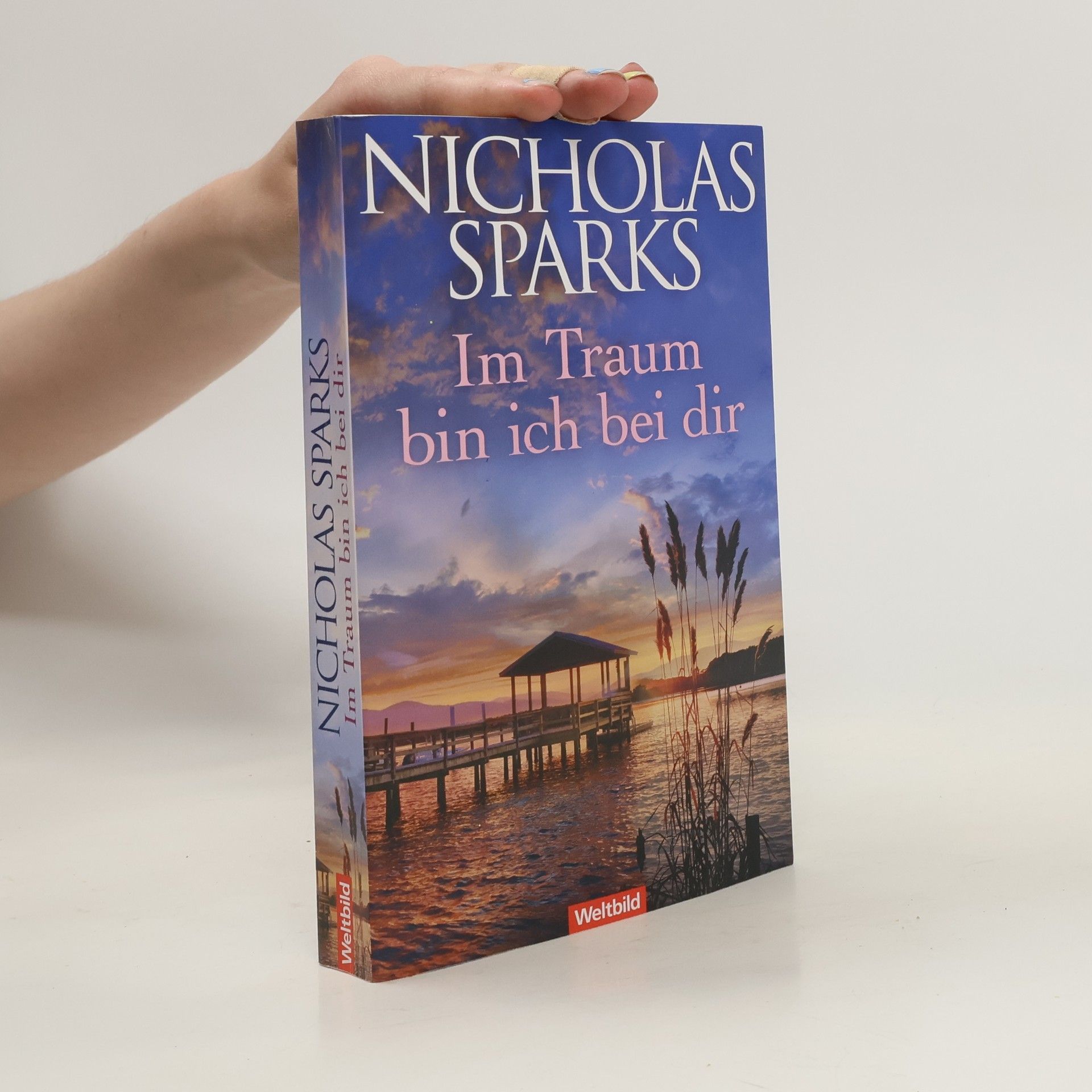 Nicholas Sparks Im Traum bin ich bei dir