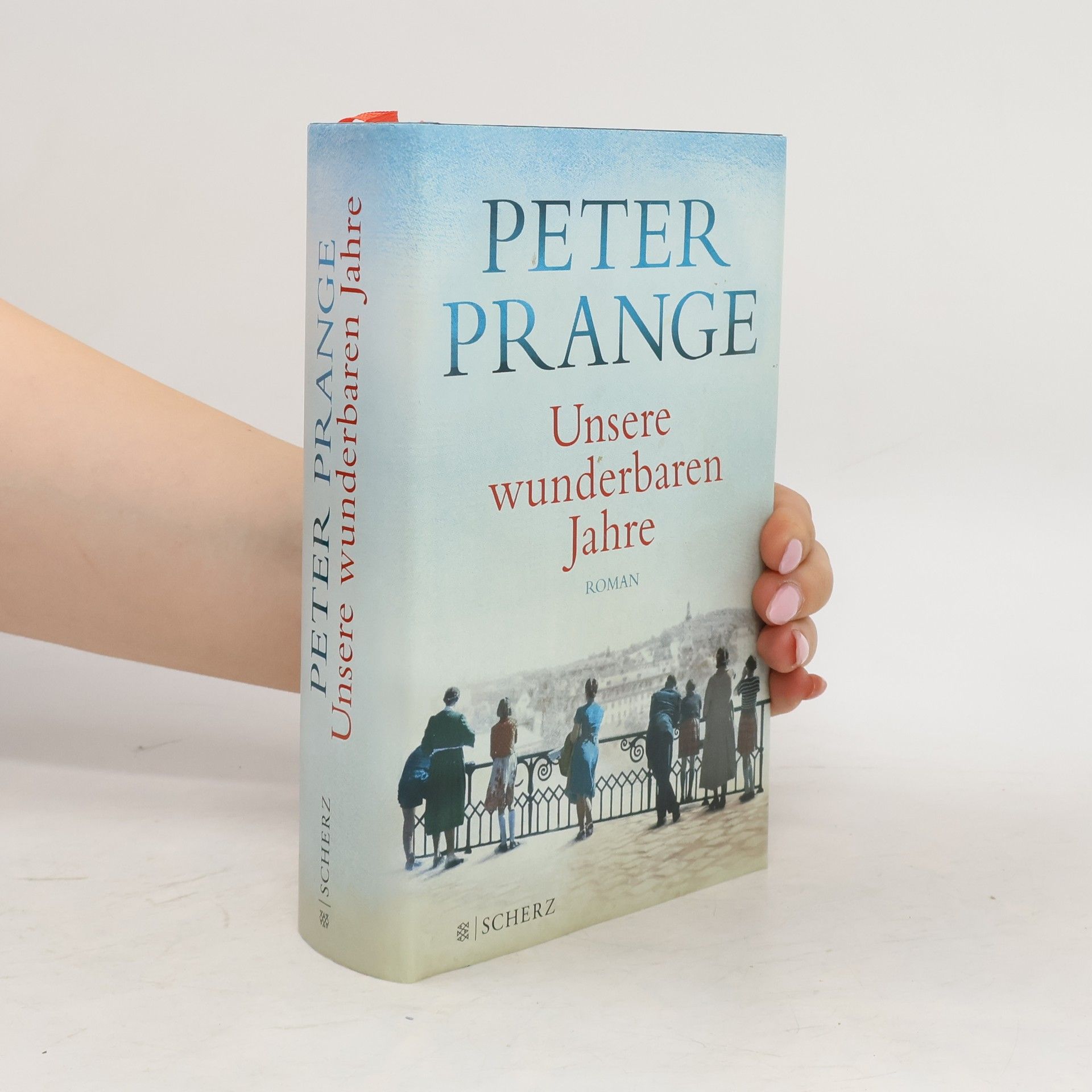 Peter Prange Unsere wunderbaren Jahre