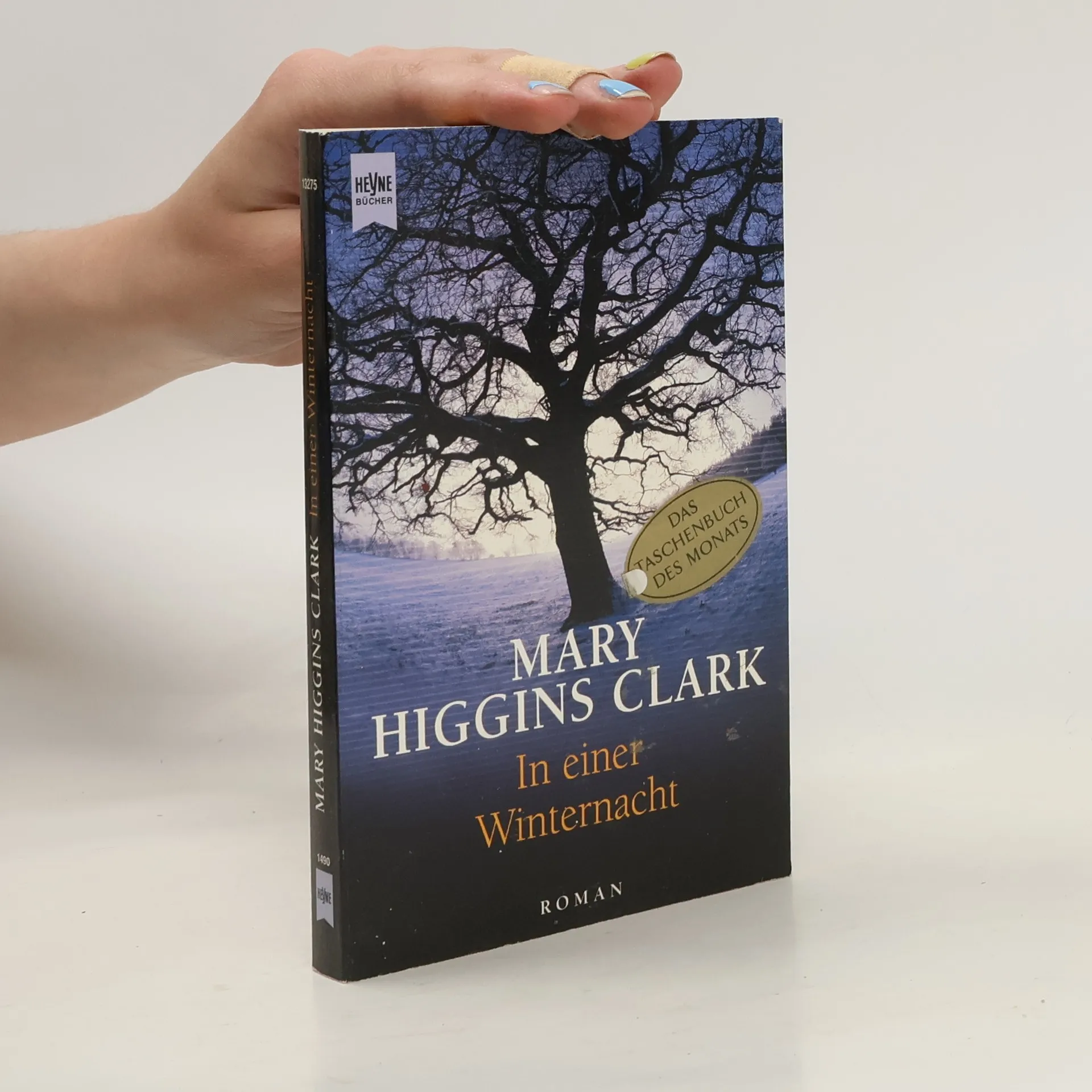 In einer Winternacht | Buch | Mary Higgins Clark