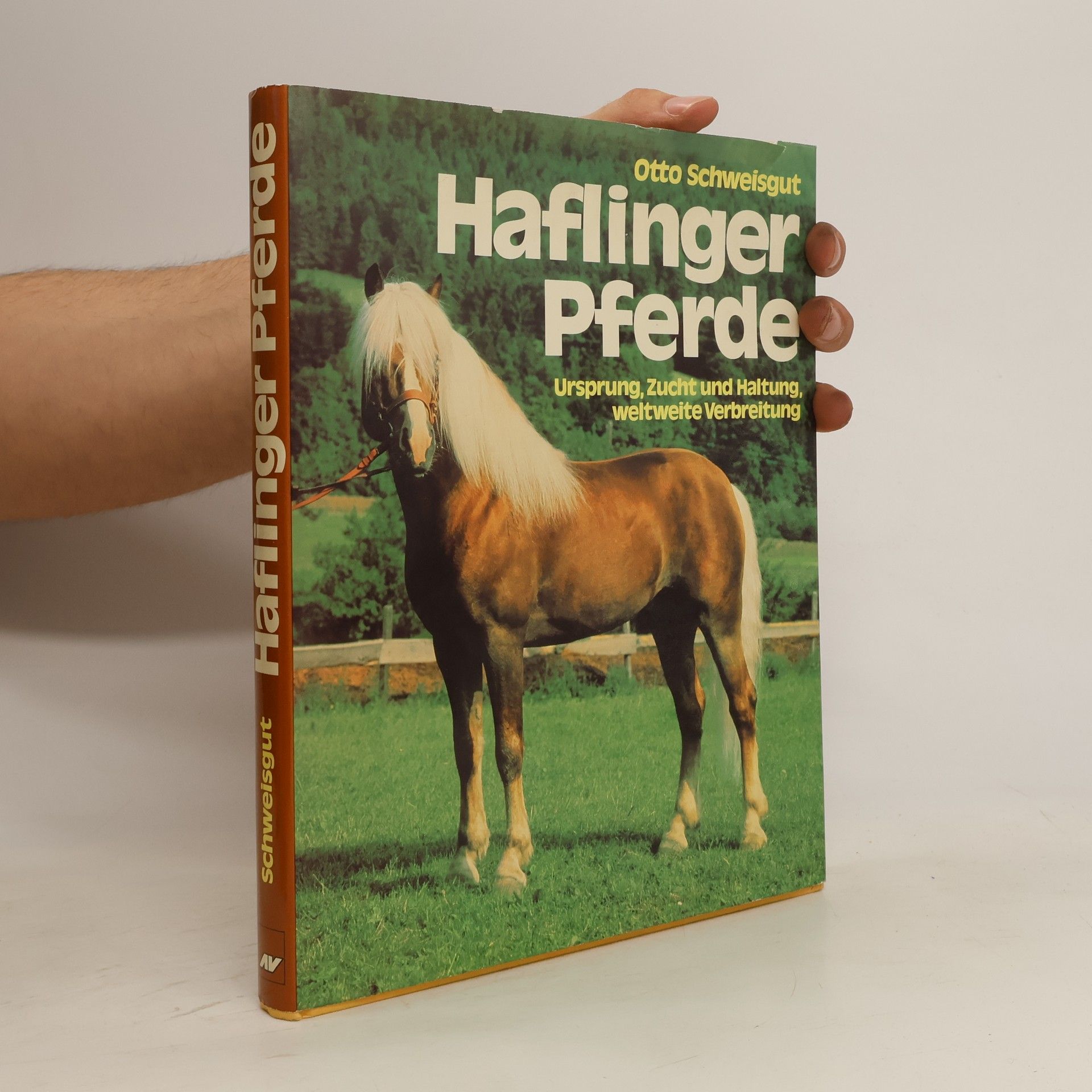Otto Schweisgut Haflinger Pferde