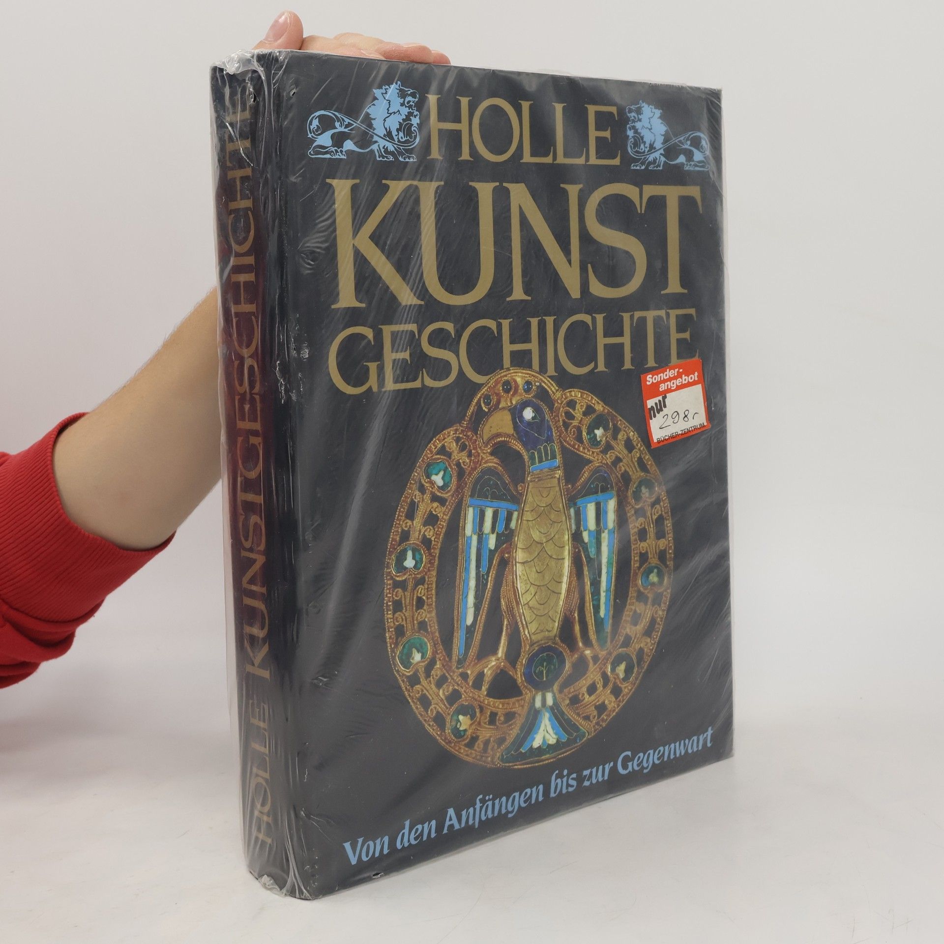 Kolektiv autorů Holle Kunst Geschichte