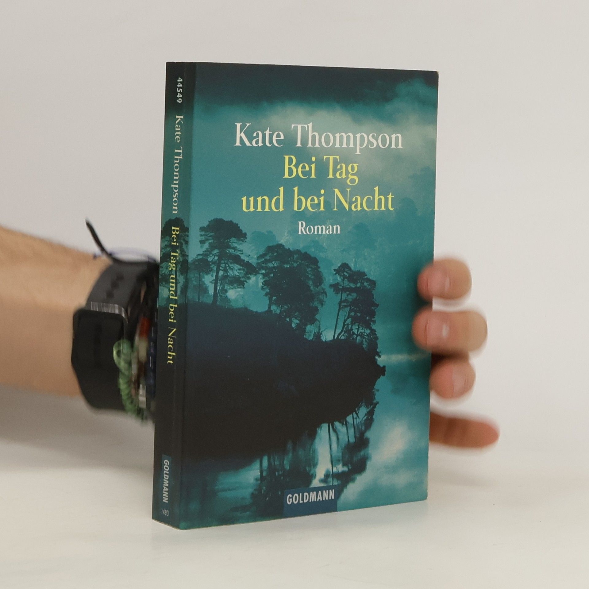 Kate Thompson Bei Tag und bei Nacht. Roman. Aus d. Engl. v. Andrea Schröder