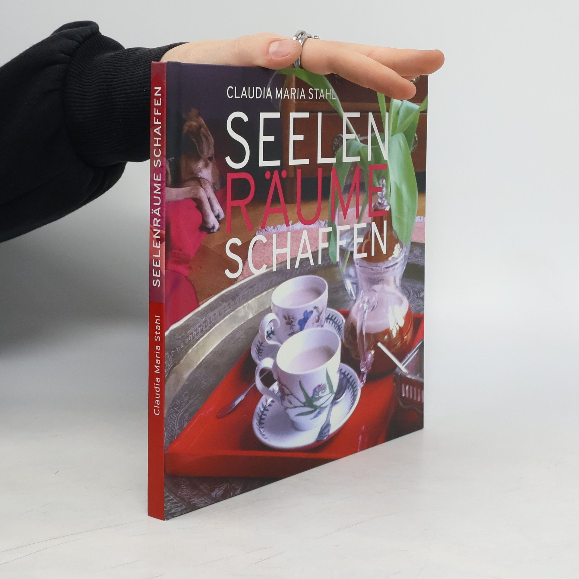 Claudia Maria Stahl Seelenräume schaffen