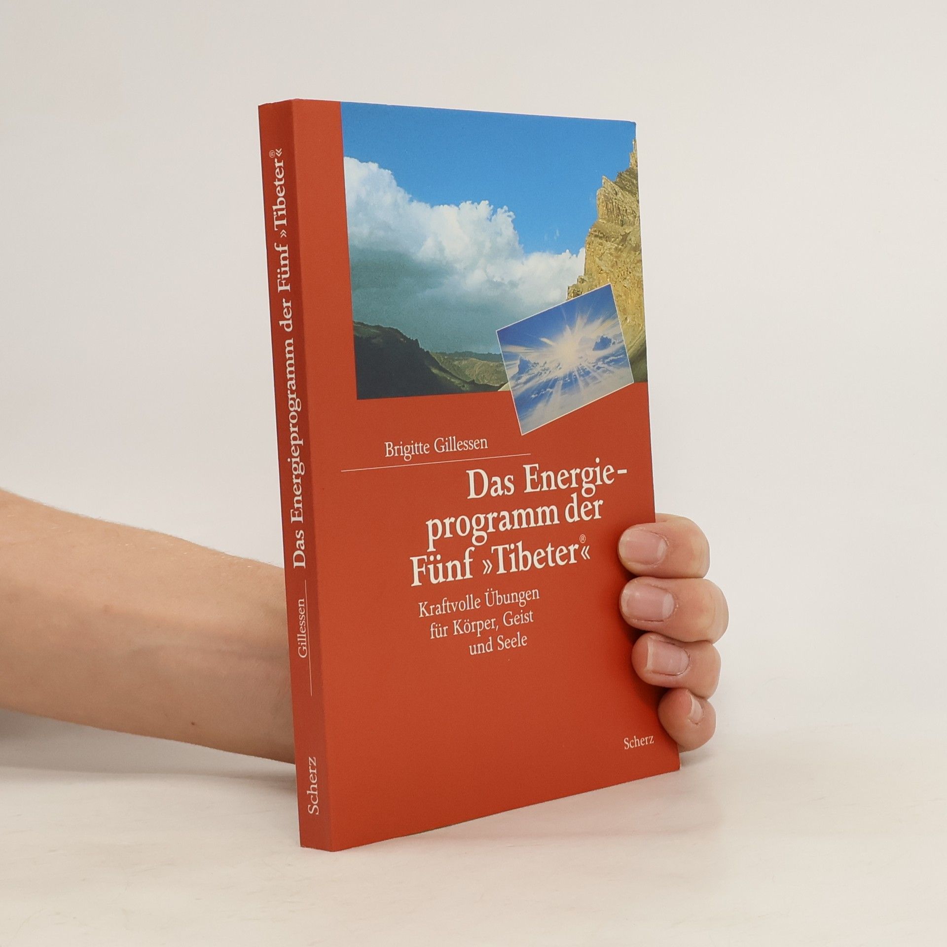 Brigitte Gillessen Das Energieprogramm der fünf "Tibeter"