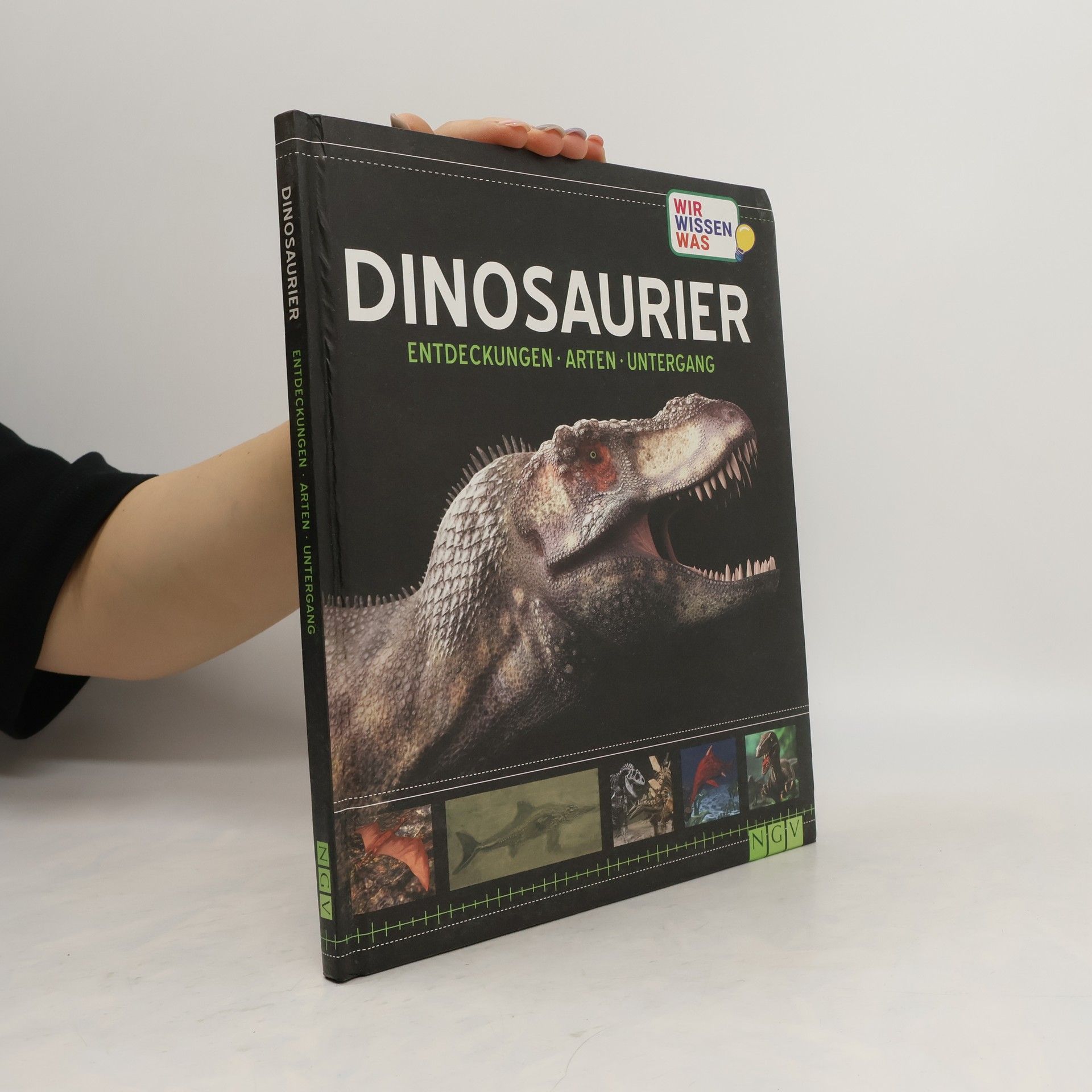 kolektiv Dinosaurier