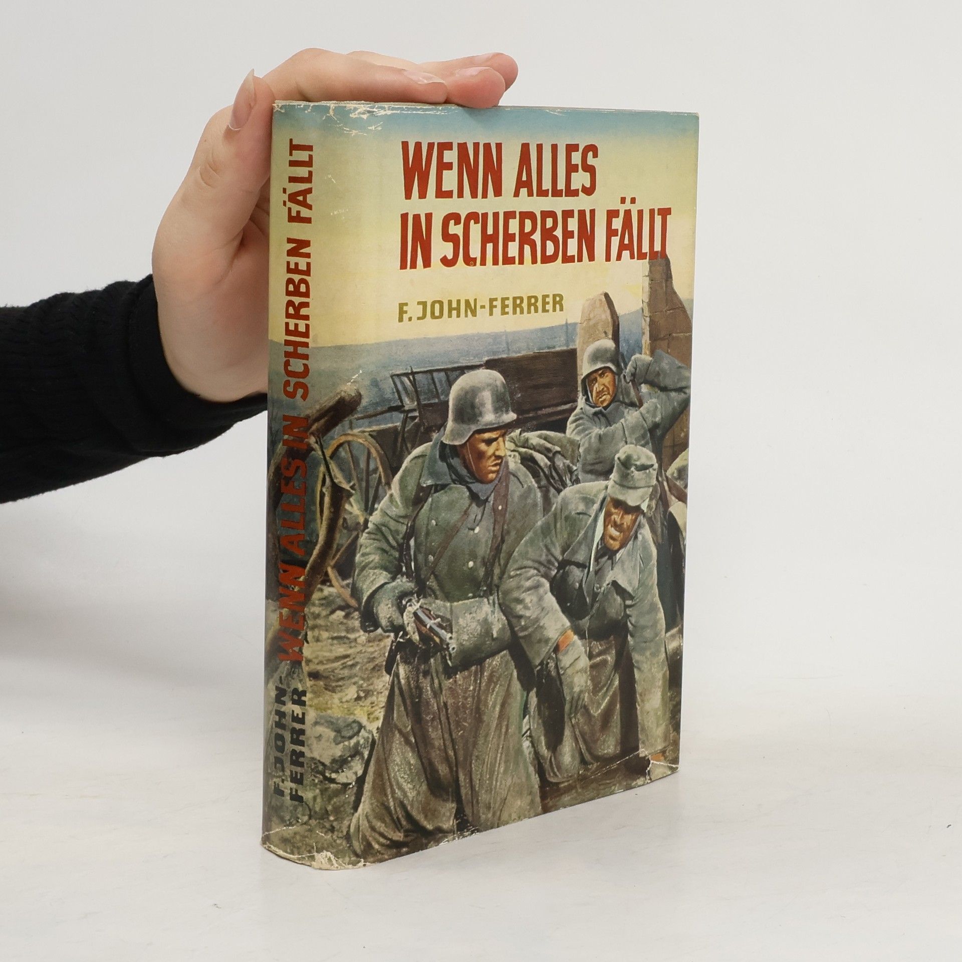 F. John Ferrer Wenn alles in Scherben fällt