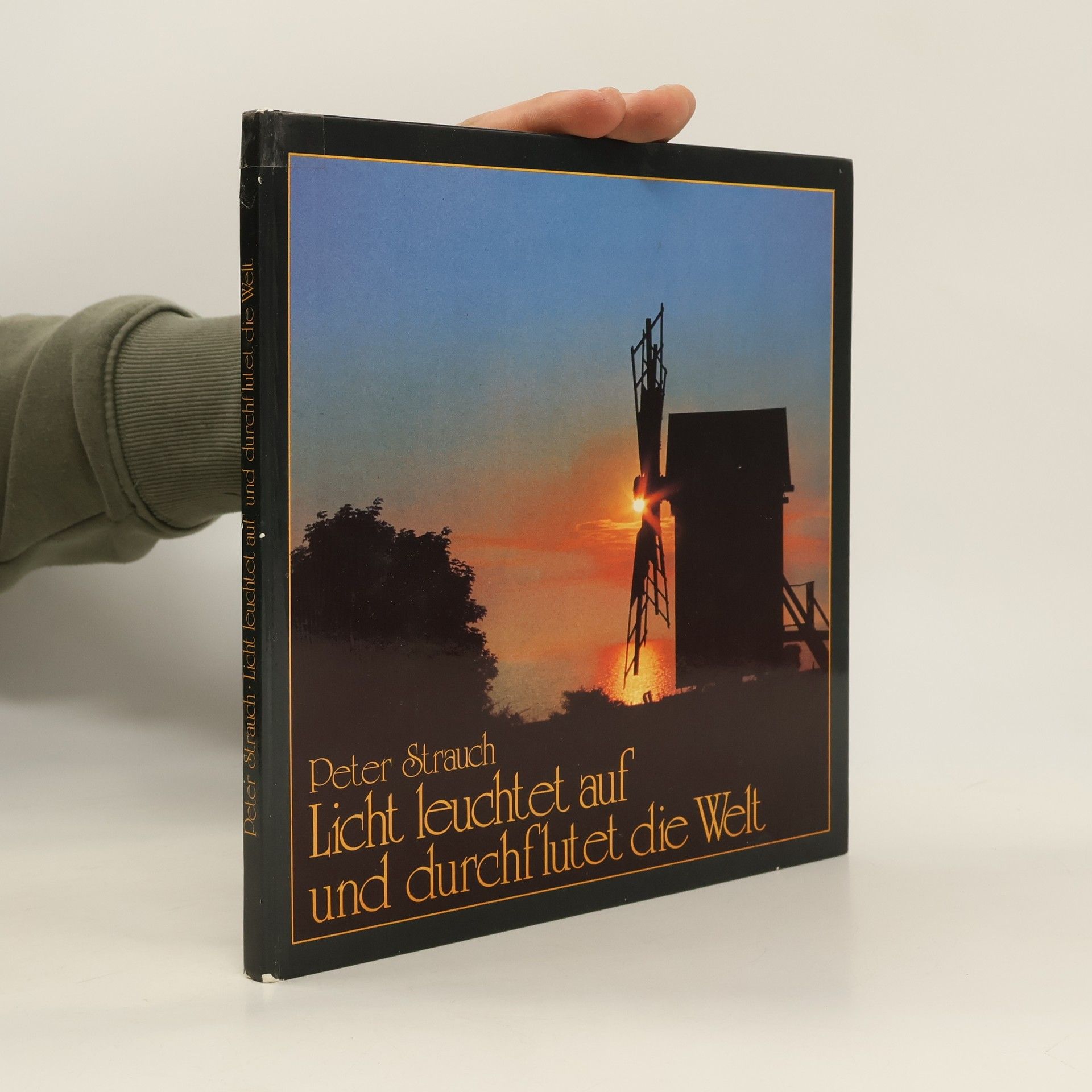 Peter Strauch Licht leuchtet auf und durchflutet die Welt