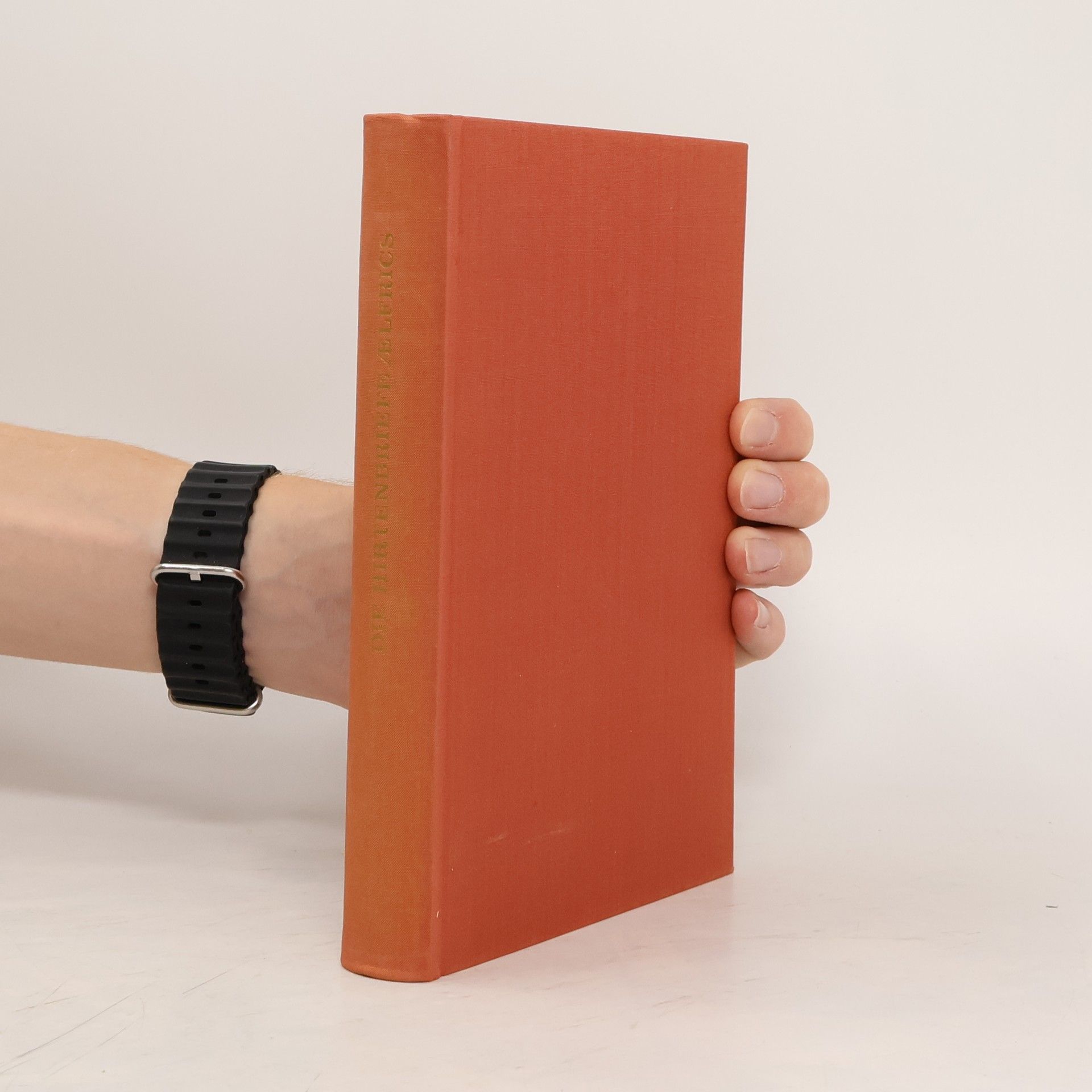 Autorenkollektiv Die Hirtenbriefe Ælfrics