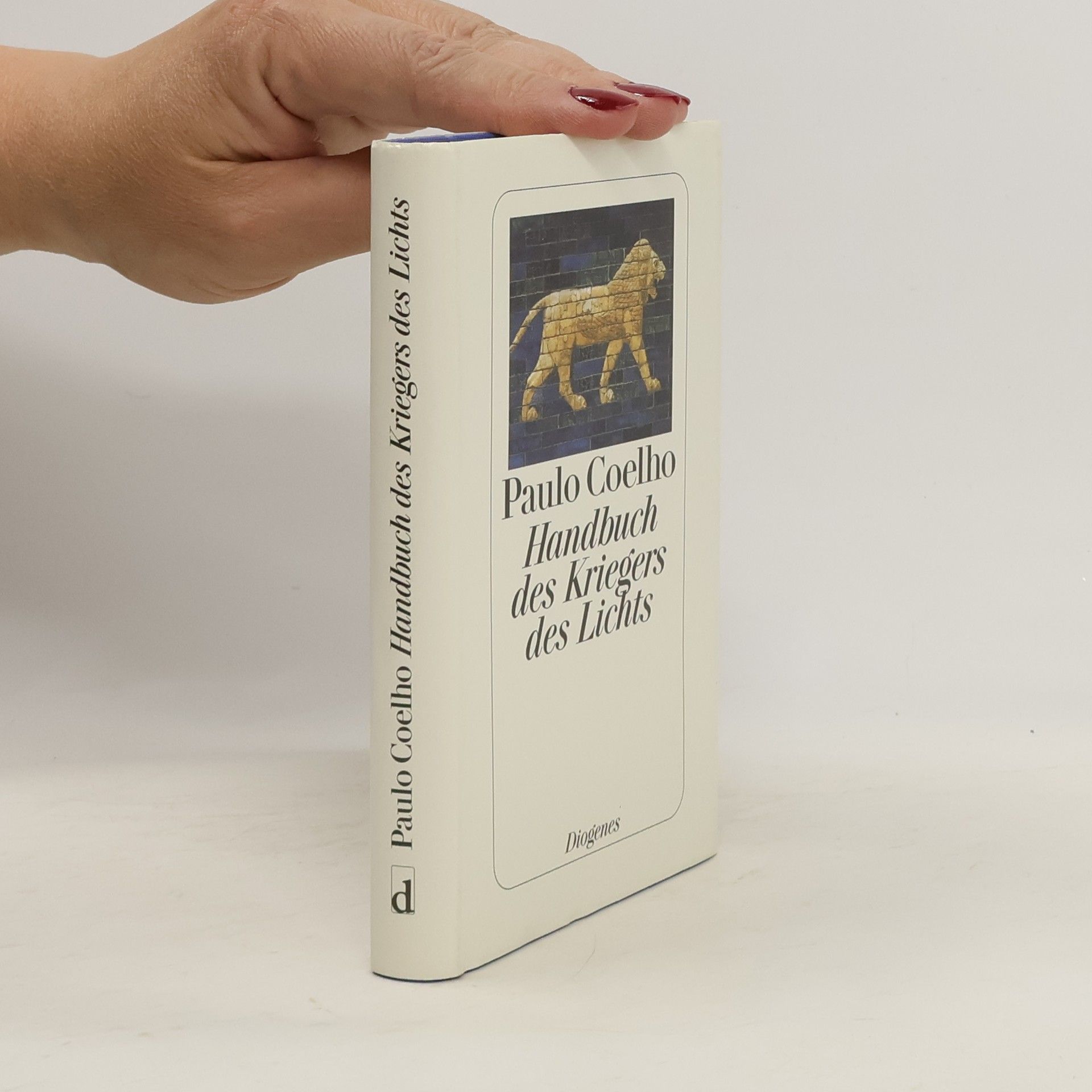 Paulo Coelho Handbuch des Kriegers des Lichts
