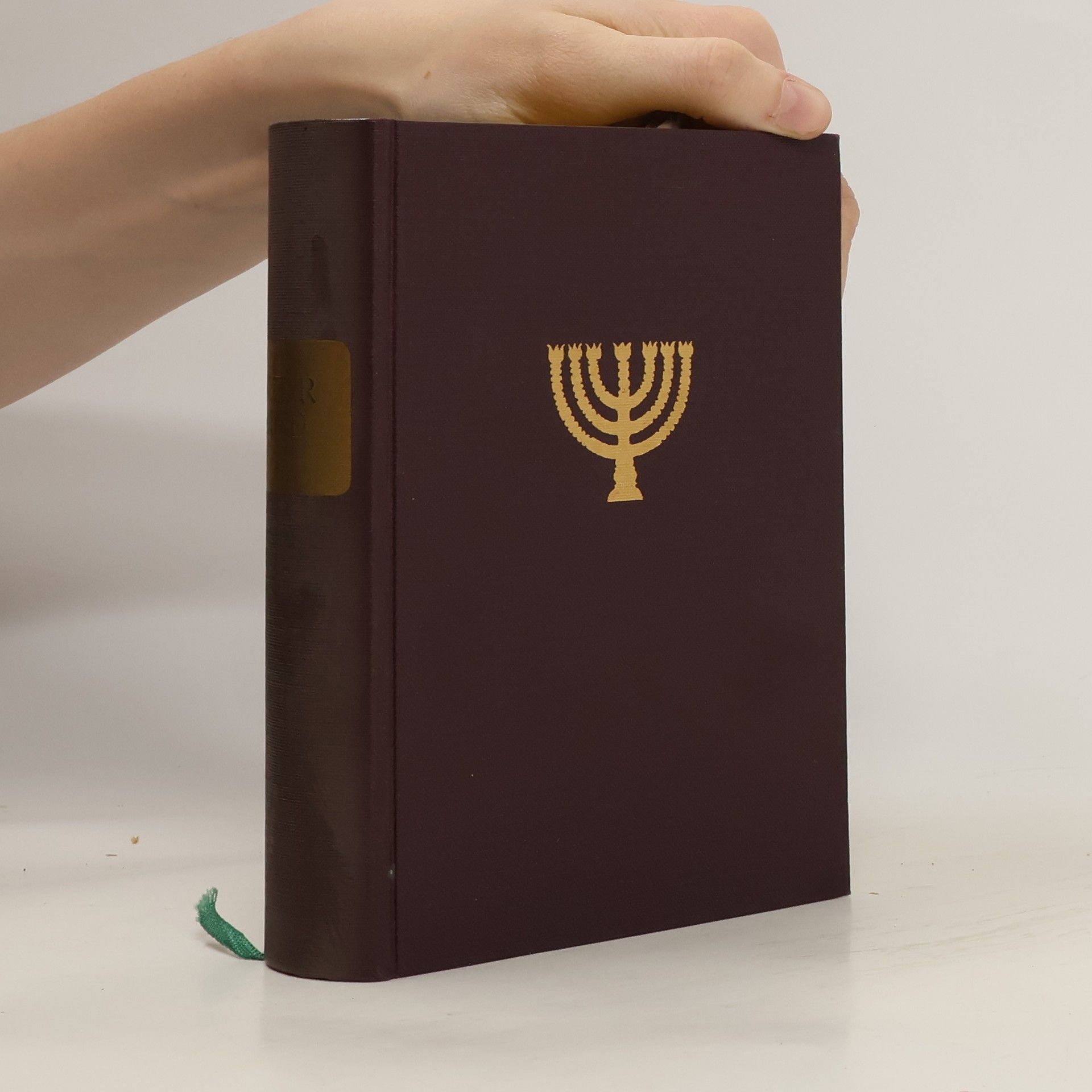 Pius Parsch Die heilige Schrift des Alten Bundes I. Band