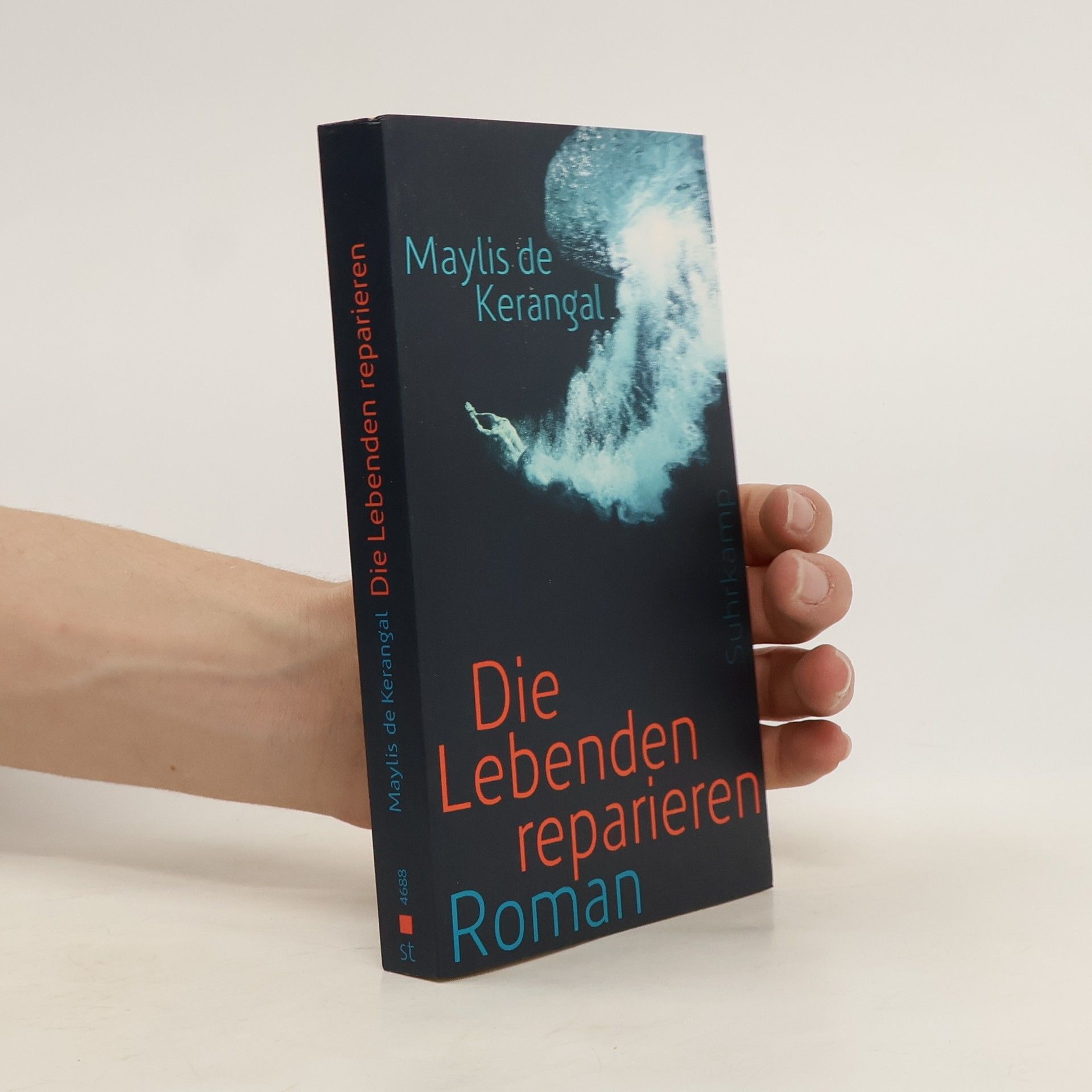 Maylis de Kerangal Die Lebenden reparieren