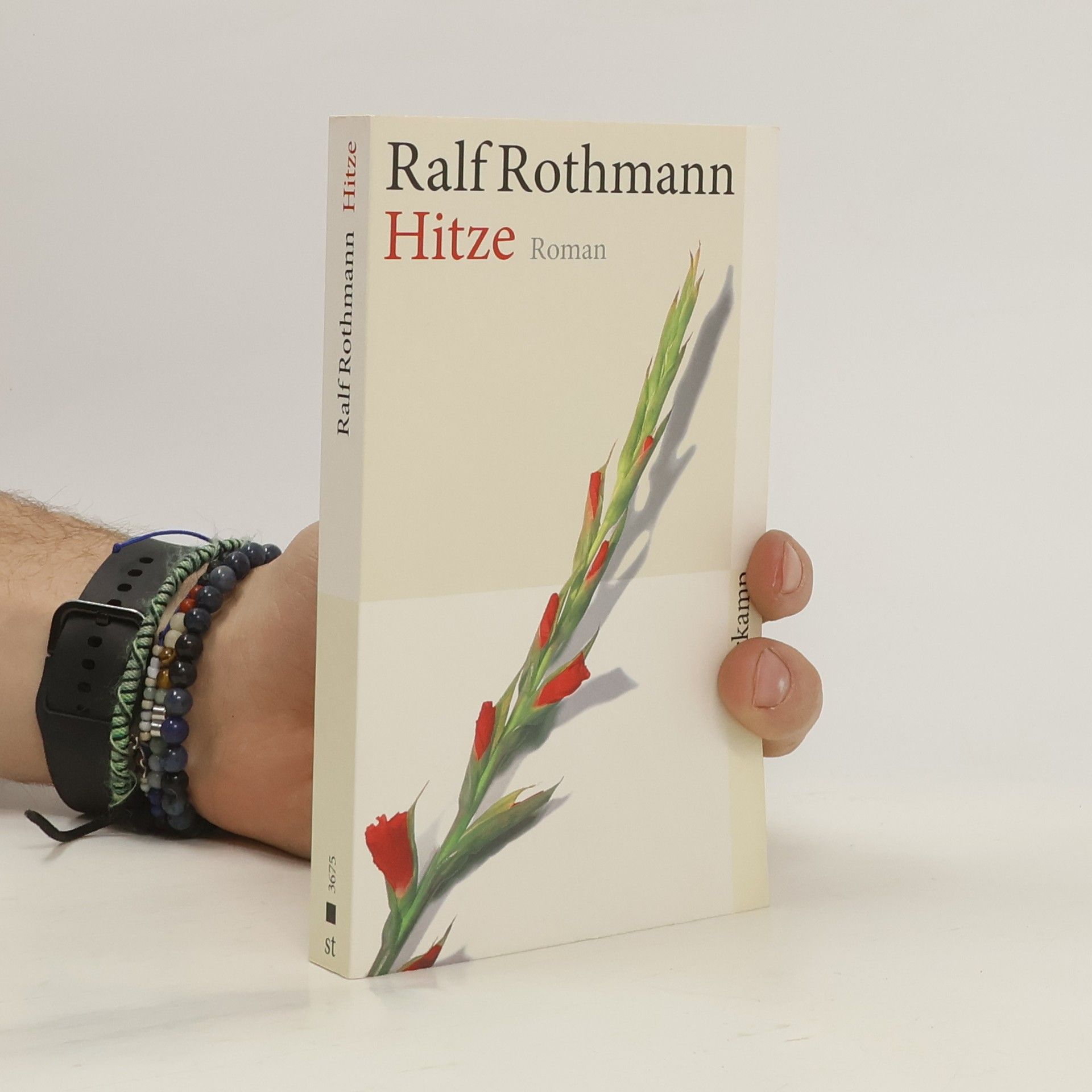 Ralf Rothmann Hitze