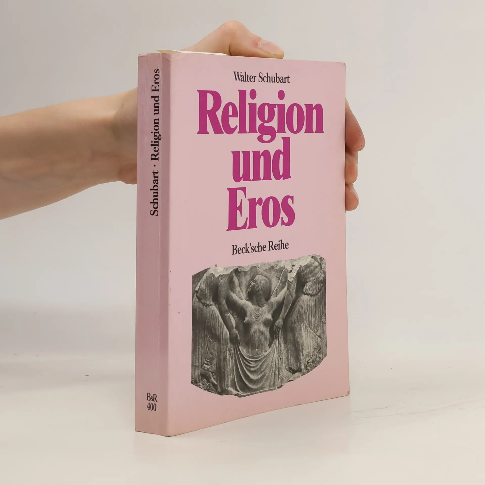 Die Spinne in der Yucca-Palme | Buch | Rolf Wilhelm Brednich