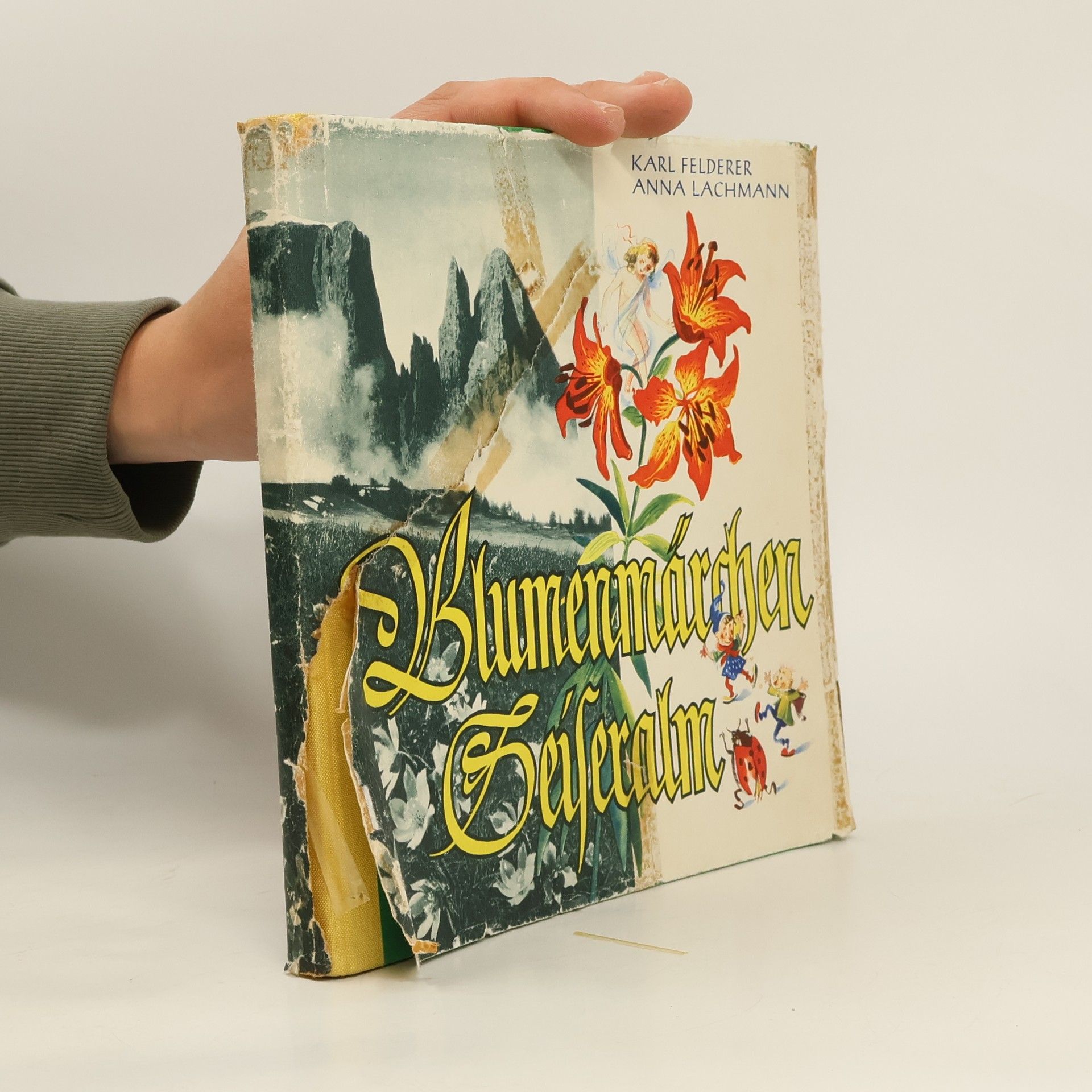 Blumenmärchen Seiseralm