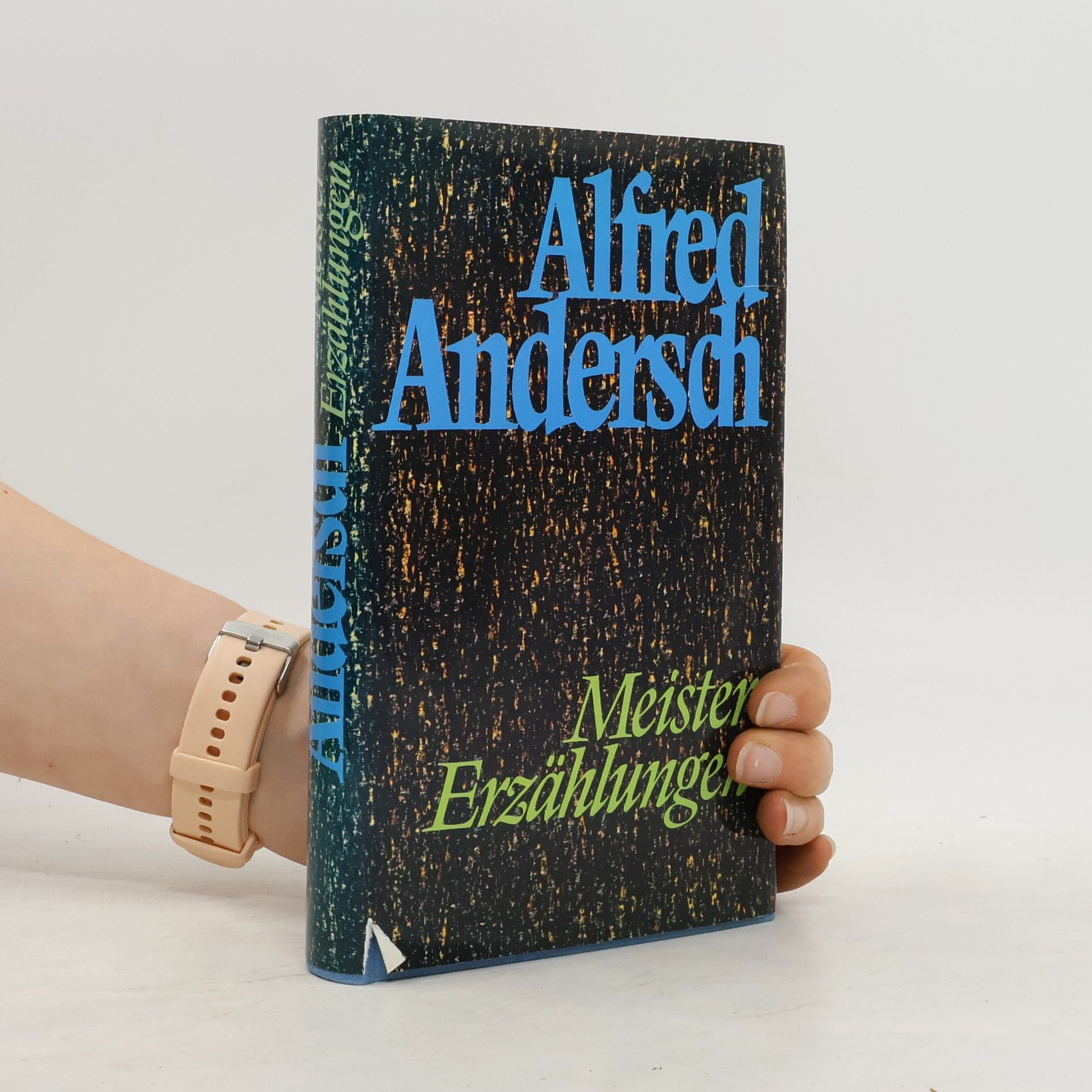 Alfred Andersch Meistererzählungen