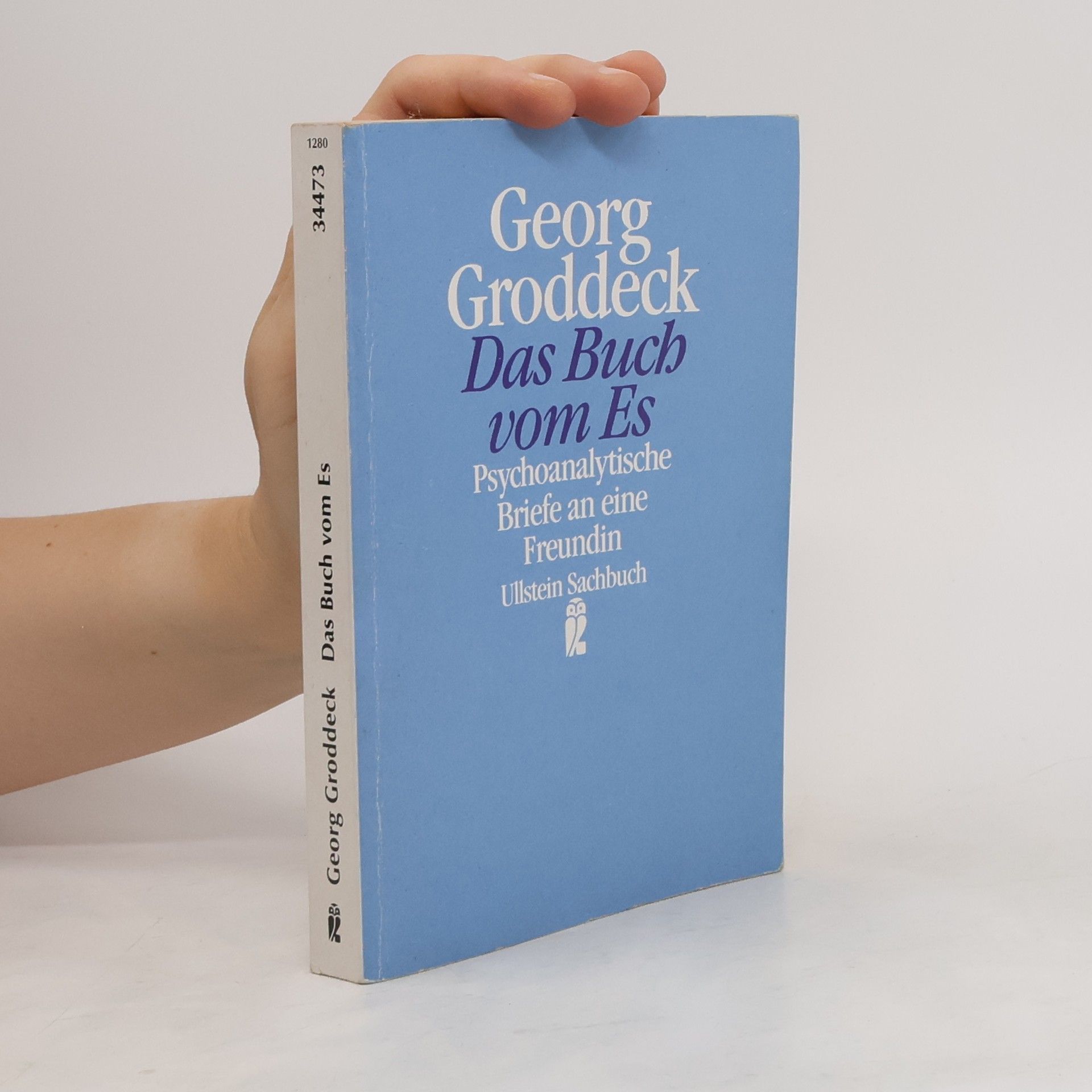 Georg Groddeck Das Buch vom Es