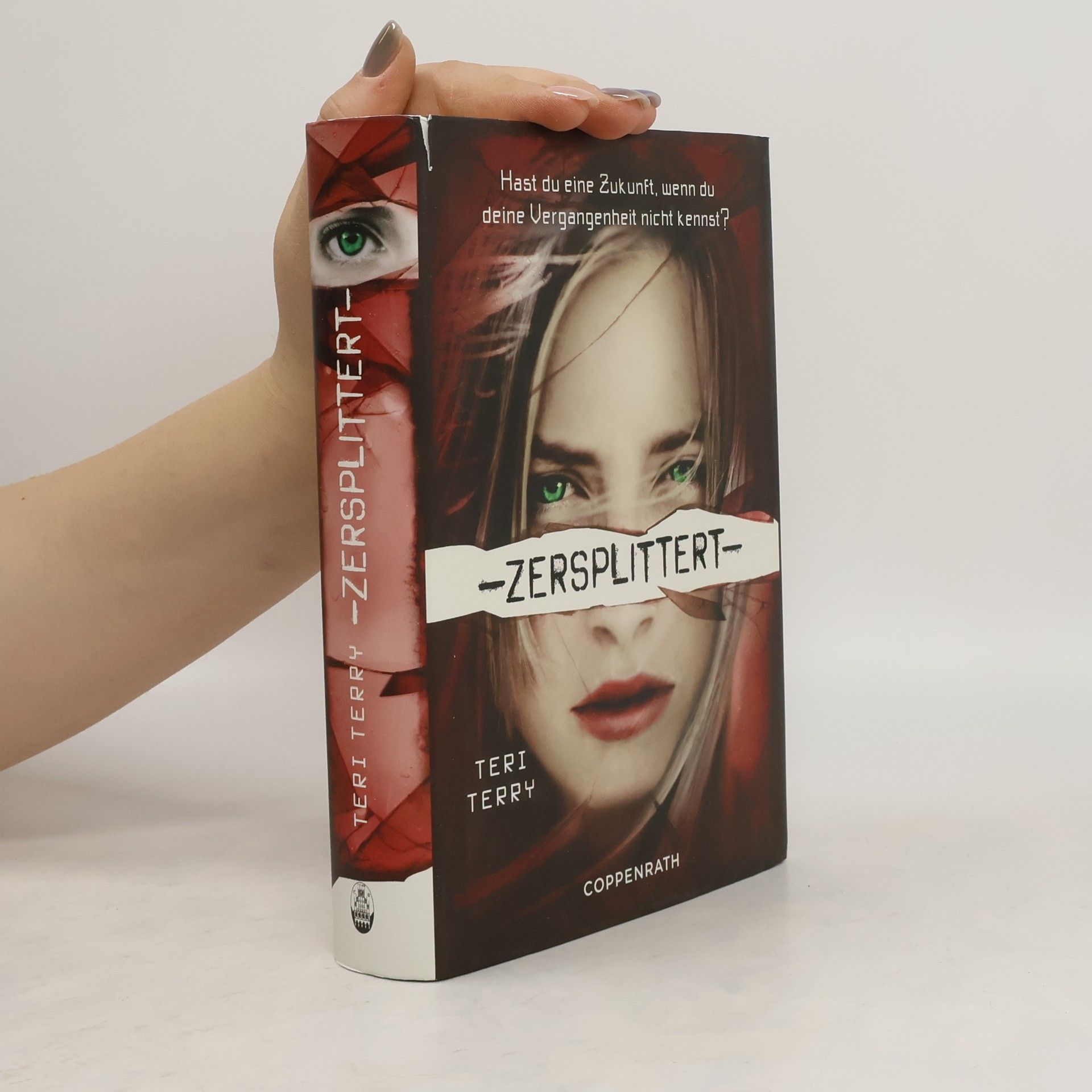 Teri Terry Zersplittert