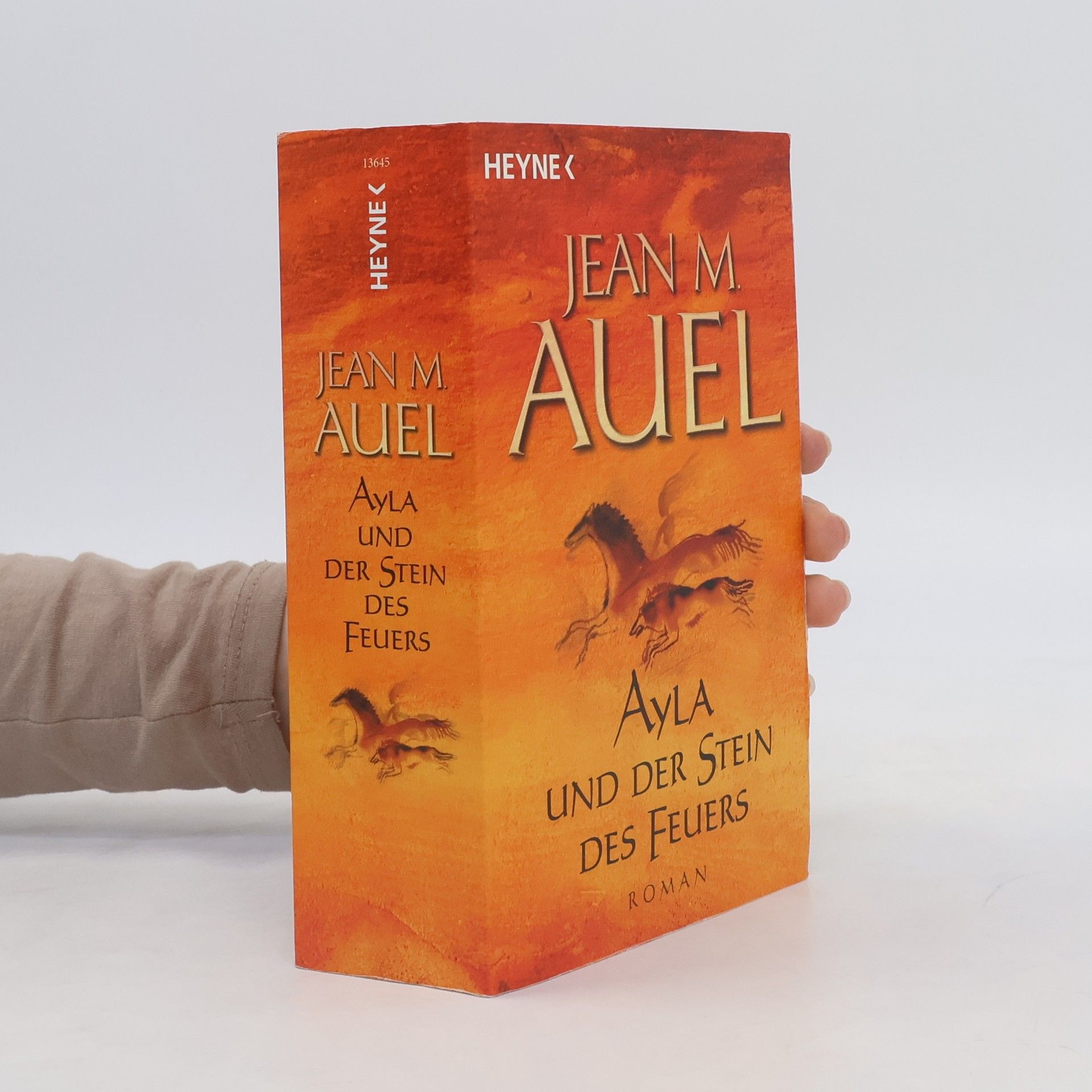 Jean M. Jean Marie Auel Ayla und der Stein des Feuers