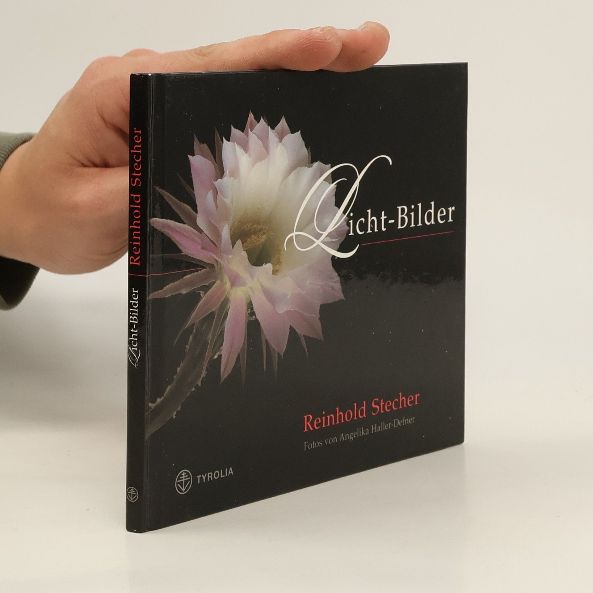 Reinhold Stecher Licht-Bilder