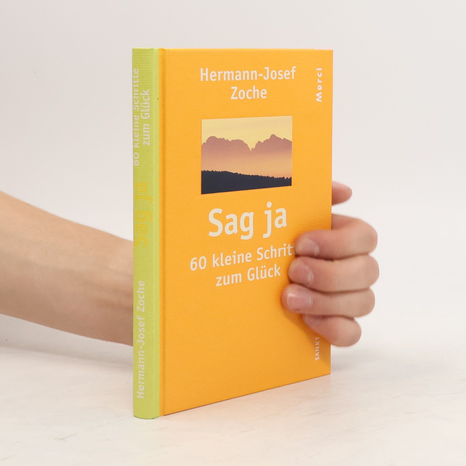Hermann-Josef Zoche Sag ja
