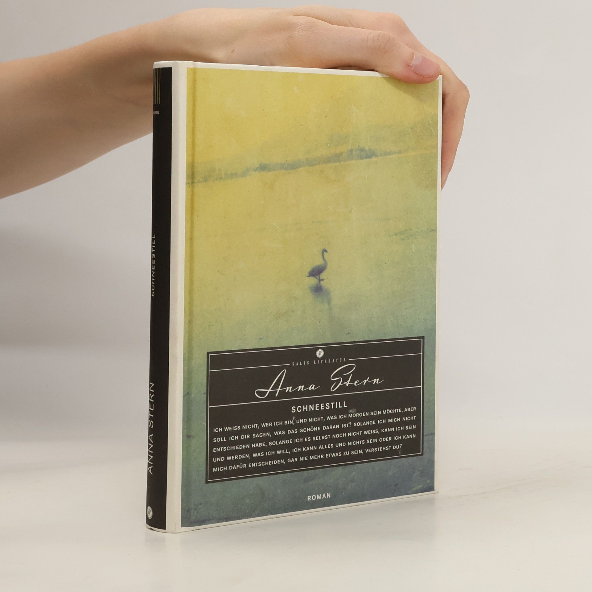 Anna Stern Schneestill