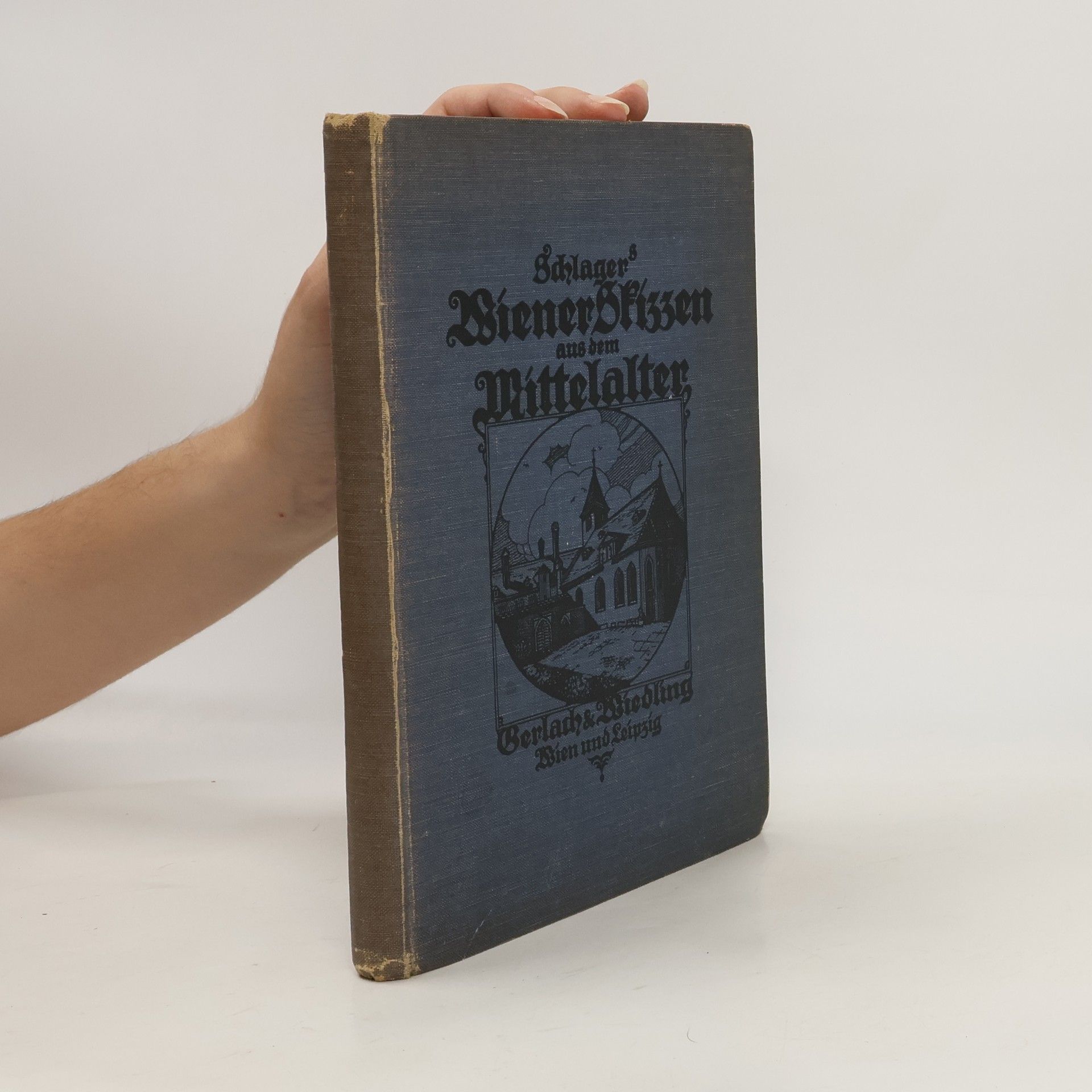 Autores varios Gedenkbuch für die schulmündige Wiener Jugend des Jahres 1915