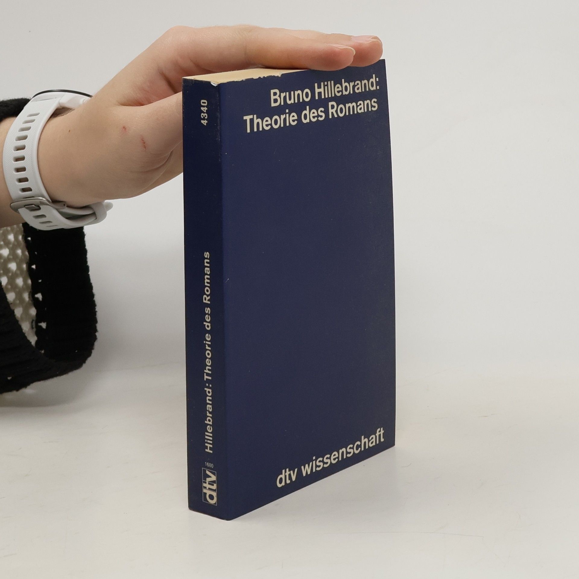 Bruno Hillebrand Theorie des Romans