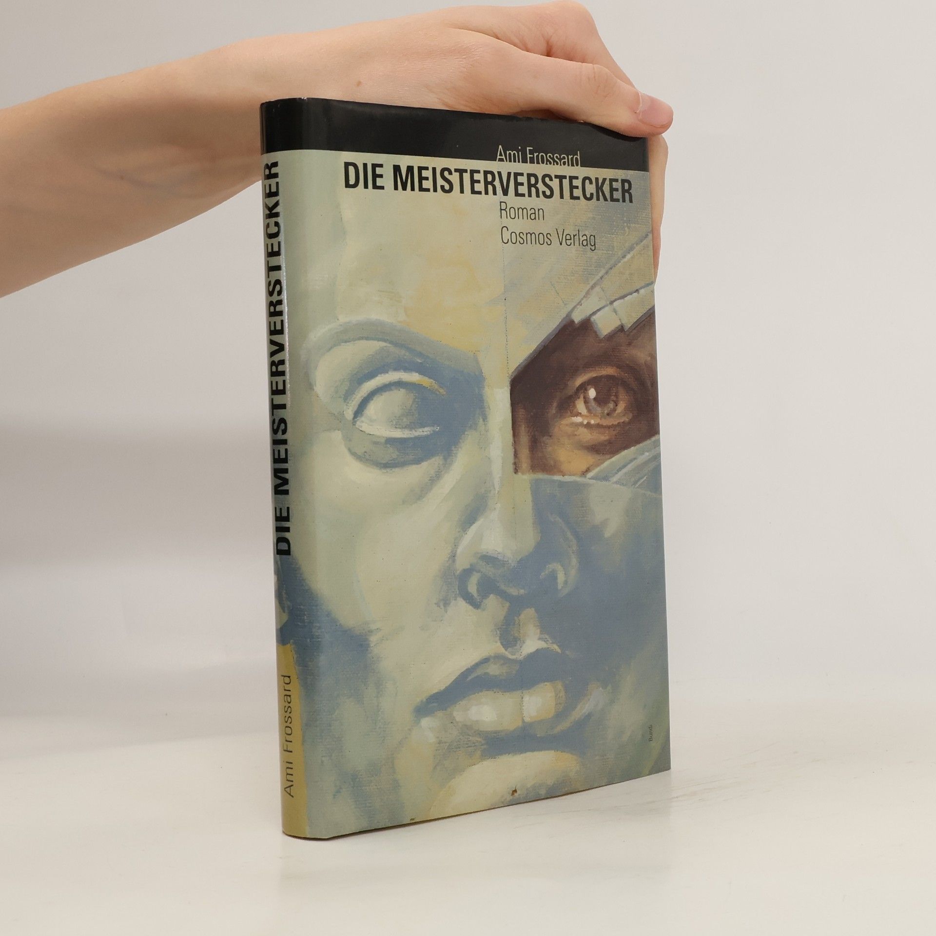 Amélie Hüsser Die Meisterverstecker