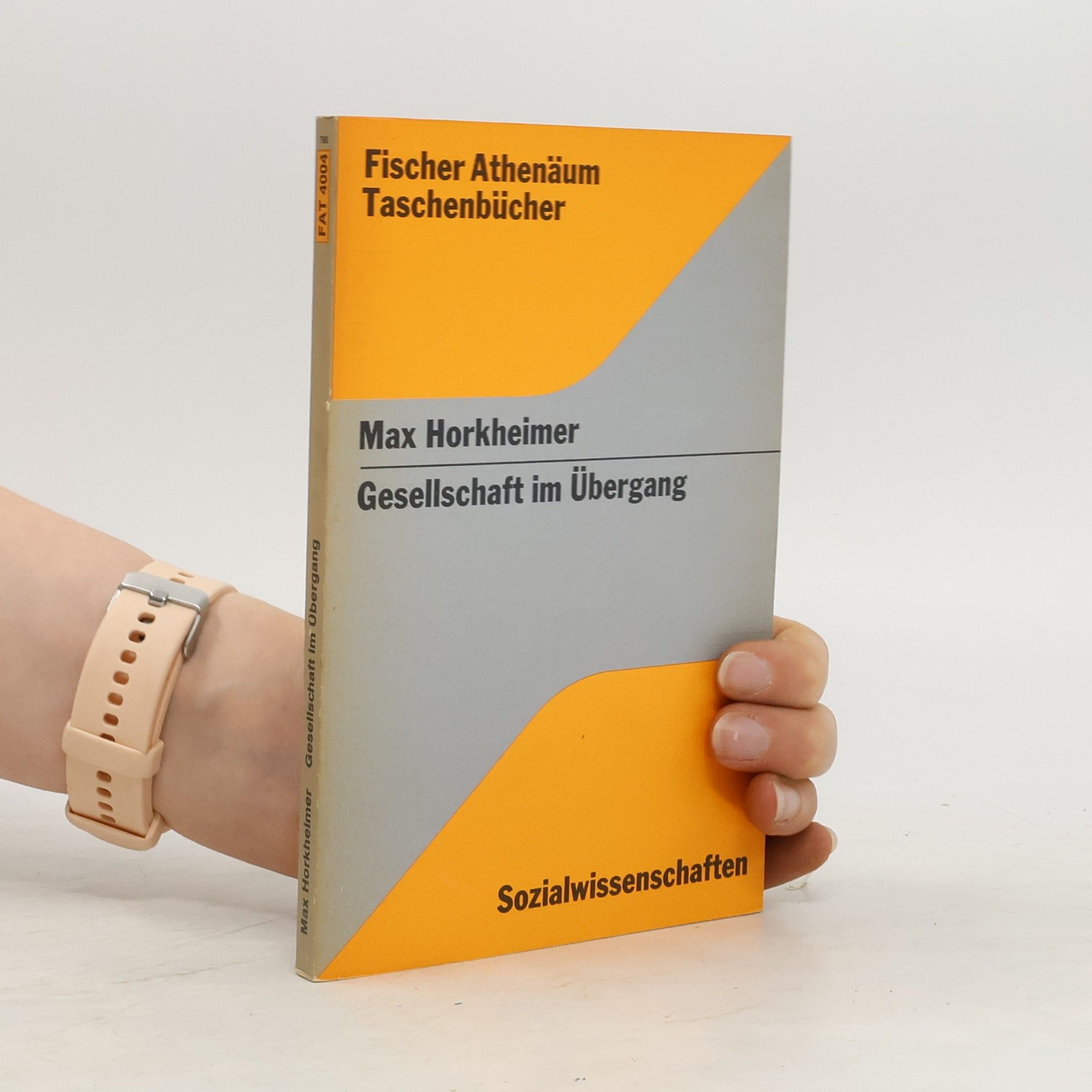 Max Horkheimer Gesellschaft im Übergang