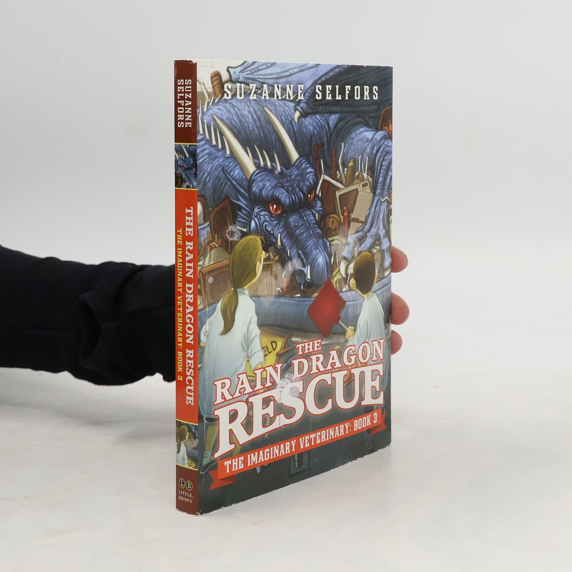 Suzanne Selfors The Rain Dragon Rescue