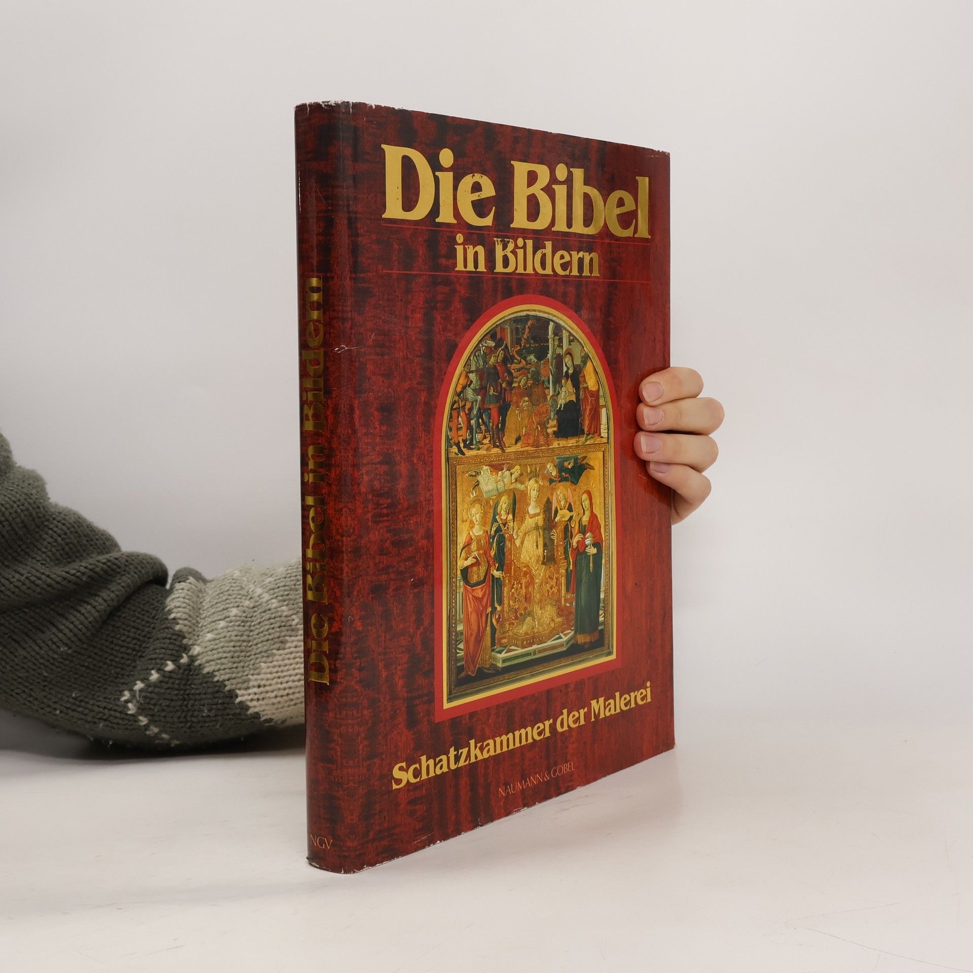 Autorenkollektiv Die Bibel in Bildern. Schatzkammer der Malerei