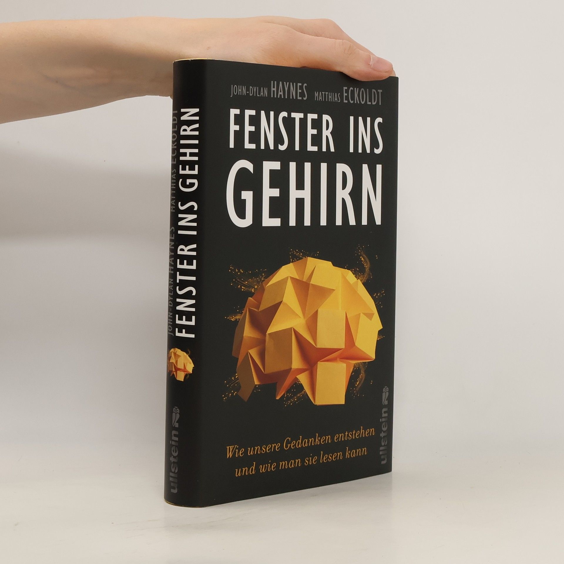 John M. Haynes Fenster ins Gehirn
