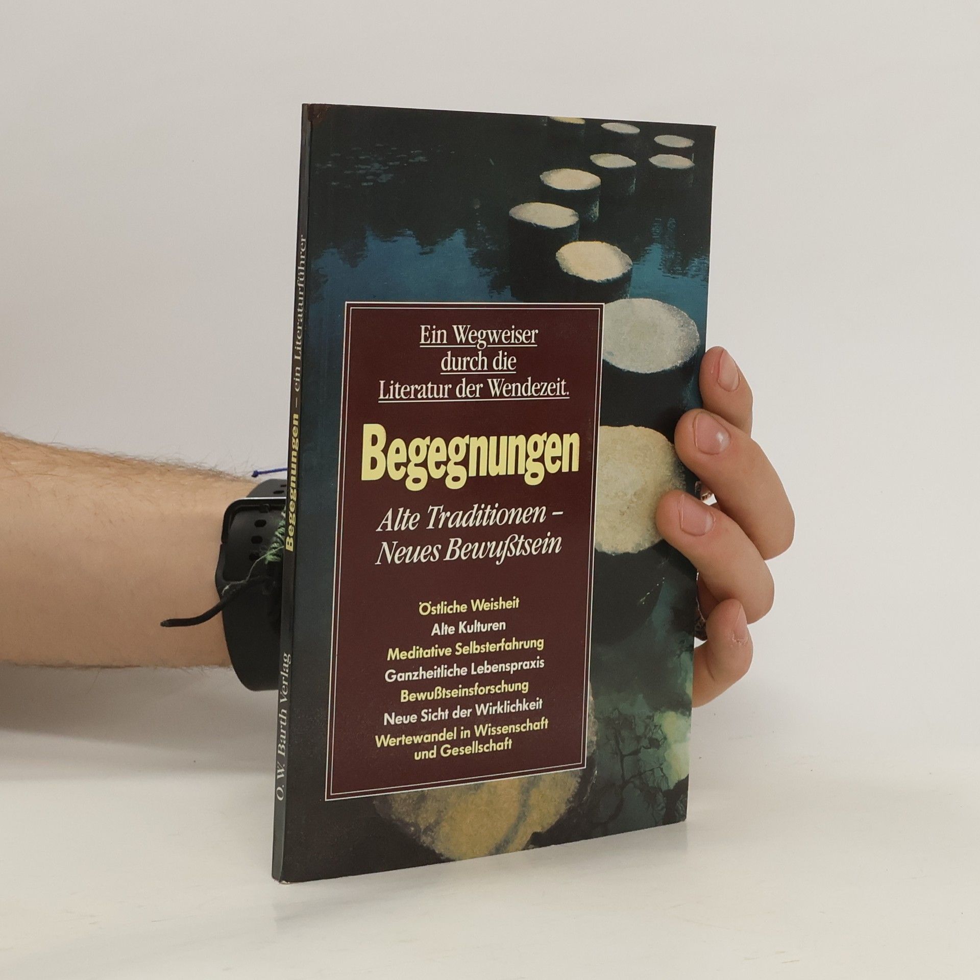 Kolektiv autorů Ein Wegweiser durch die Literatur der Wendezeit. Begegnungen. Alte Traditionen - neues Bewusstsein