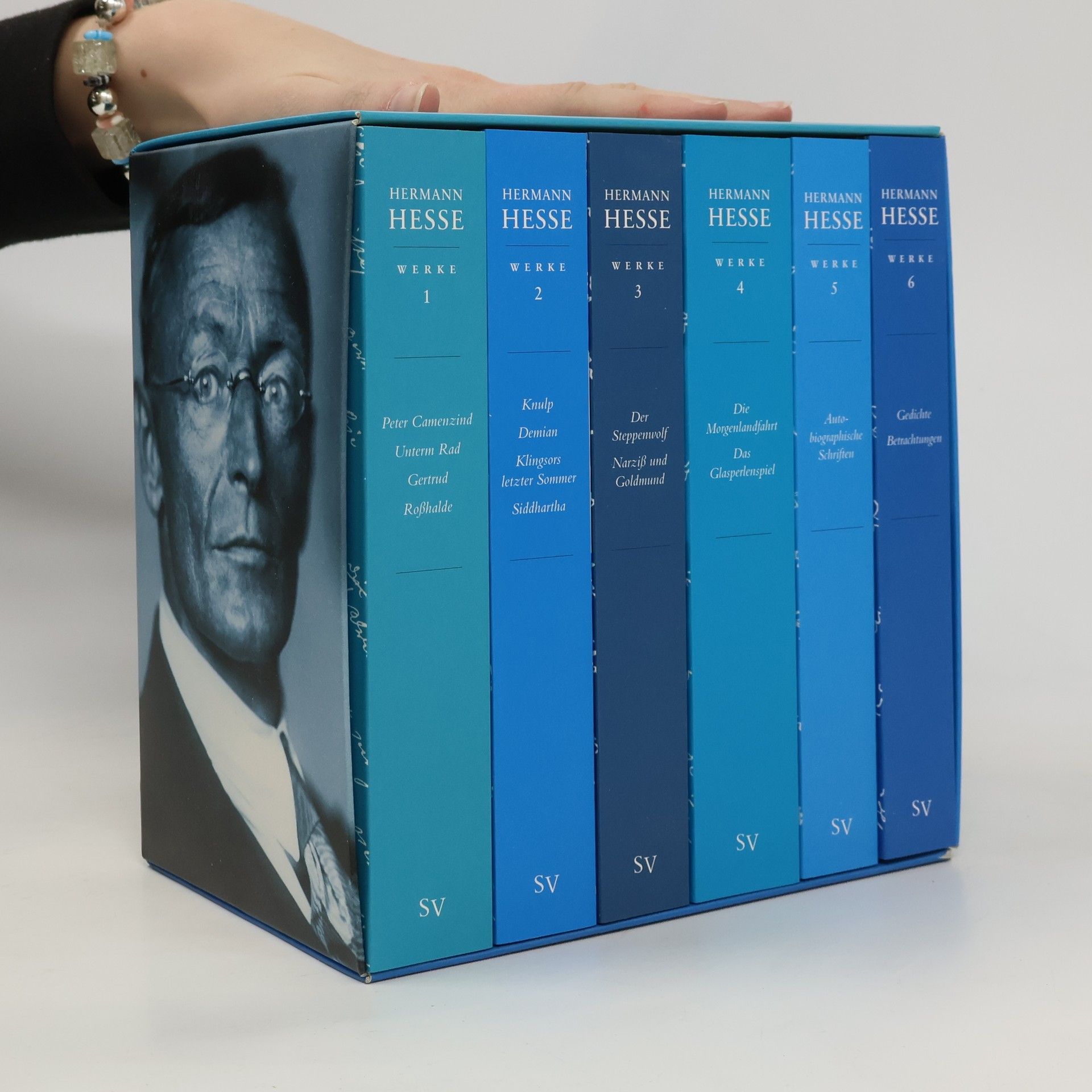 Hermann Hesse Ausgewählte Werke