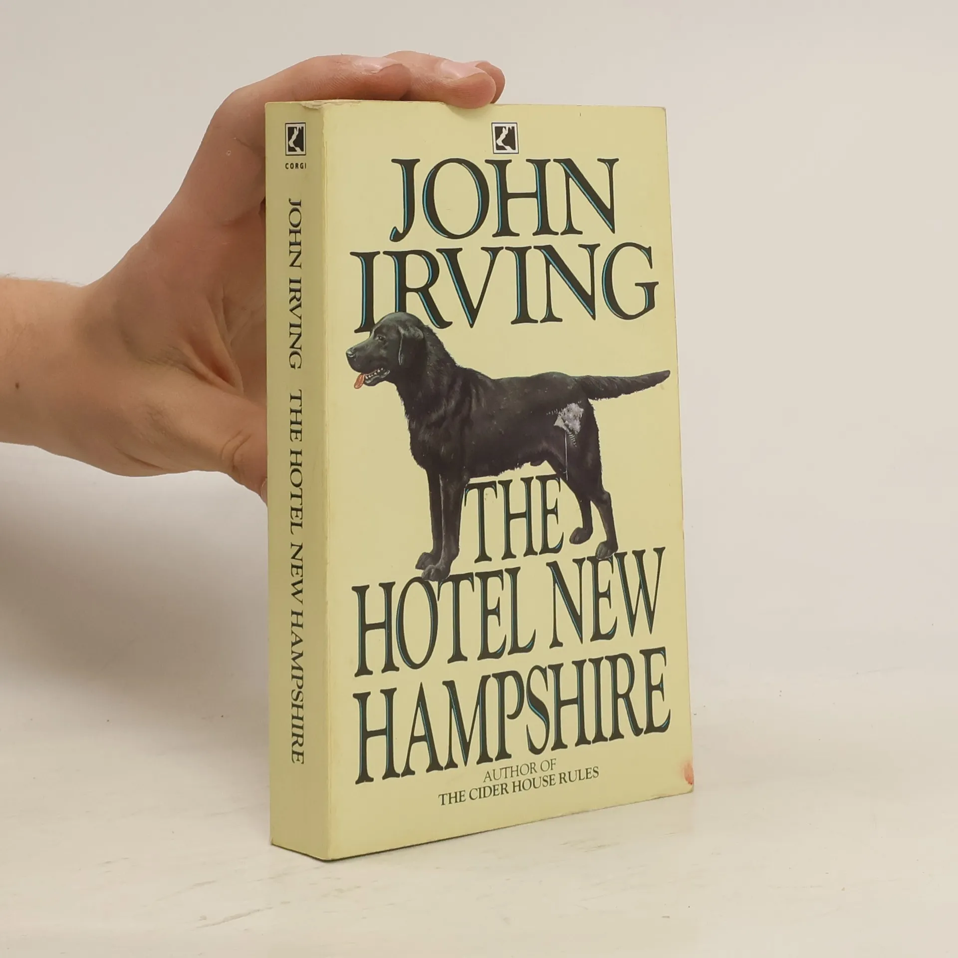 The hotel New Hampshire | Book | Hardcover | John Irving | EN