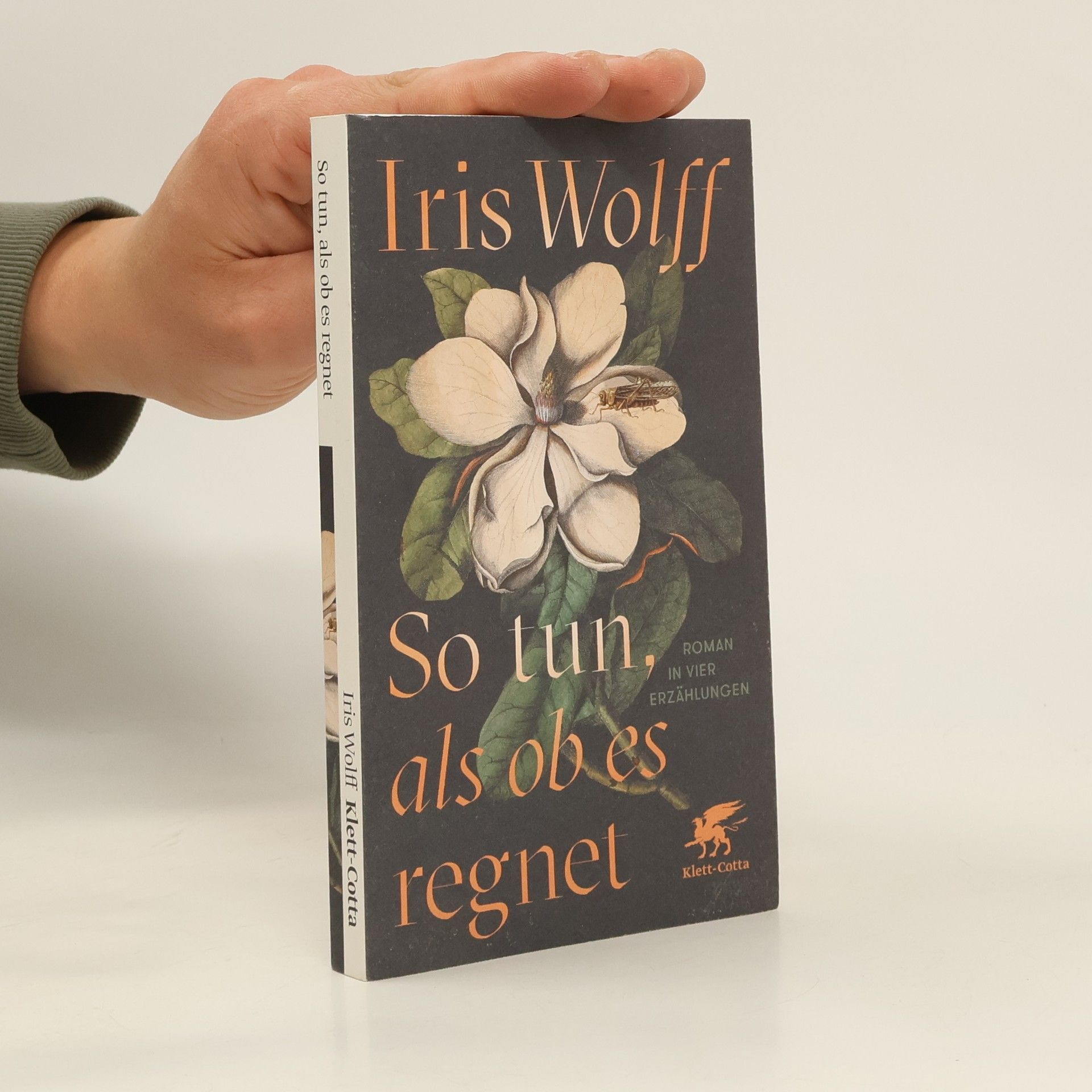 Iris Wolff So tun, als ob es regnet