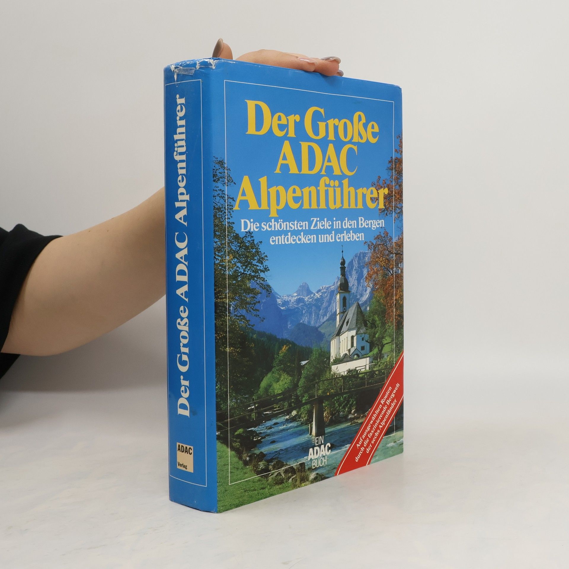 Michael Dultz Der grosse ADAC. Alpenführer