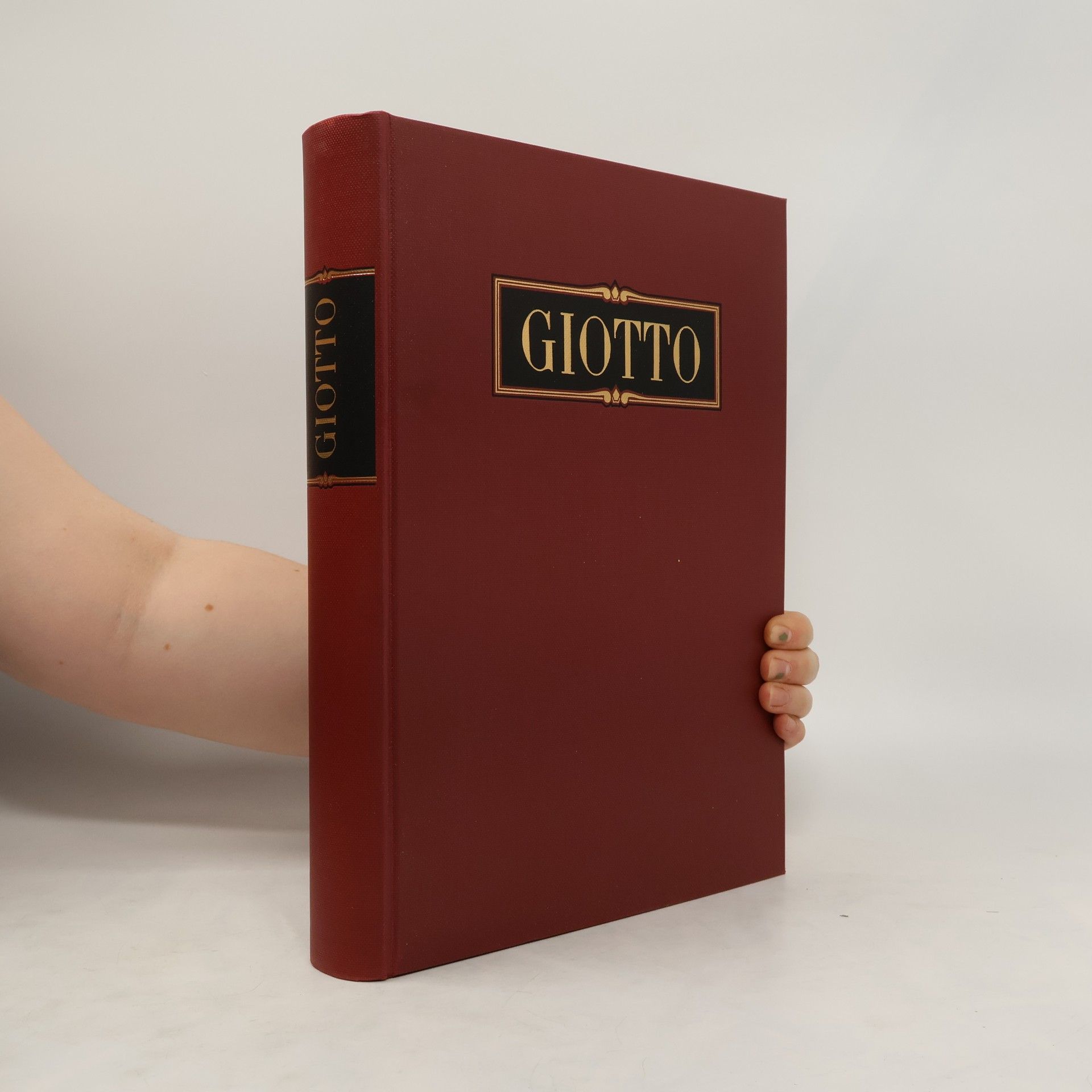 Cesare Gnudi Giotto