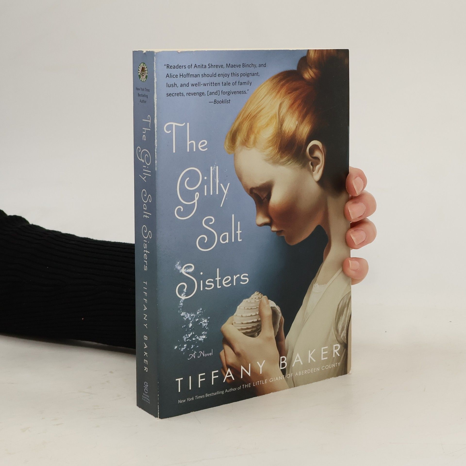 Tiffany Baker The Gilly Salt Sisters