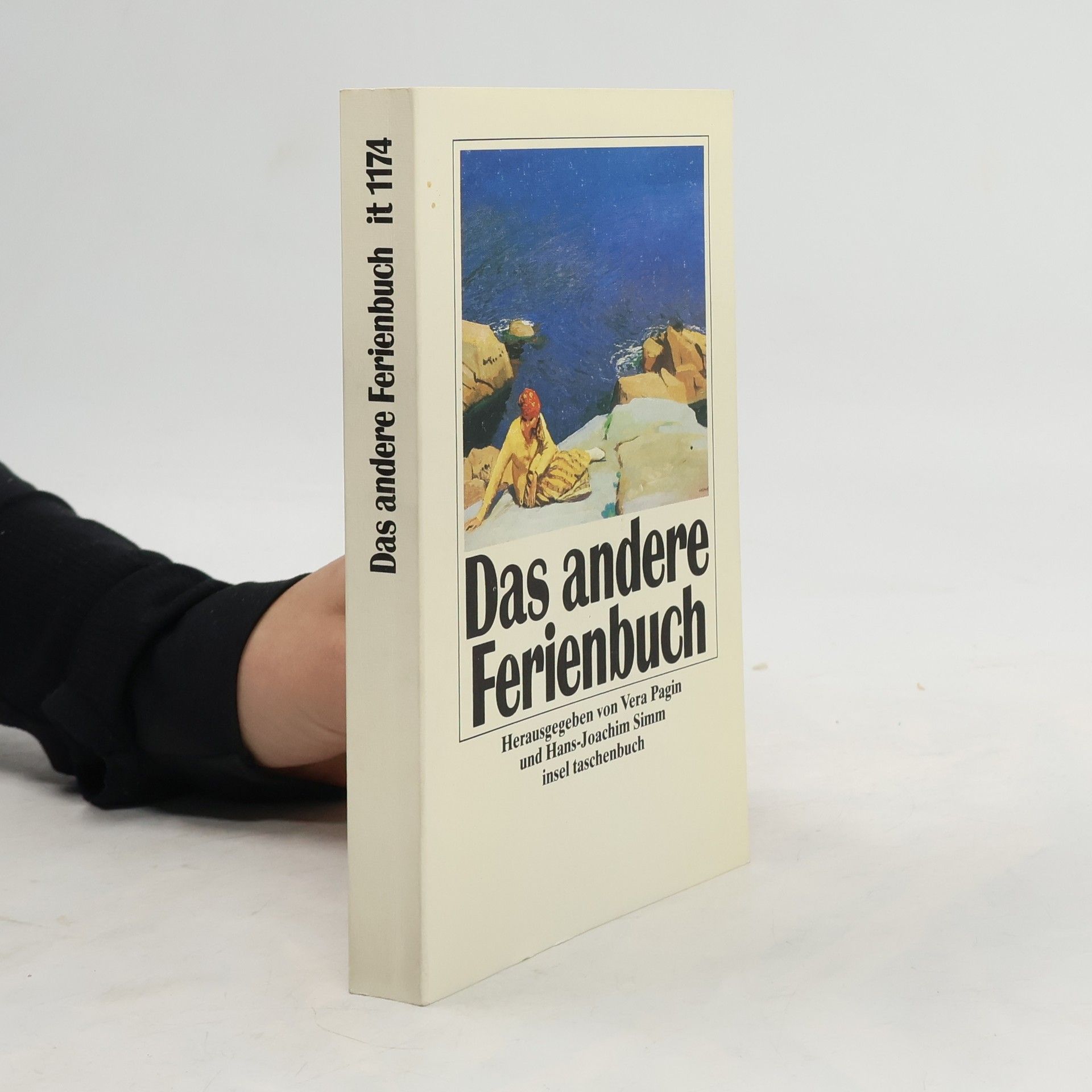 Vera Pagin Das andere Ferienbuch